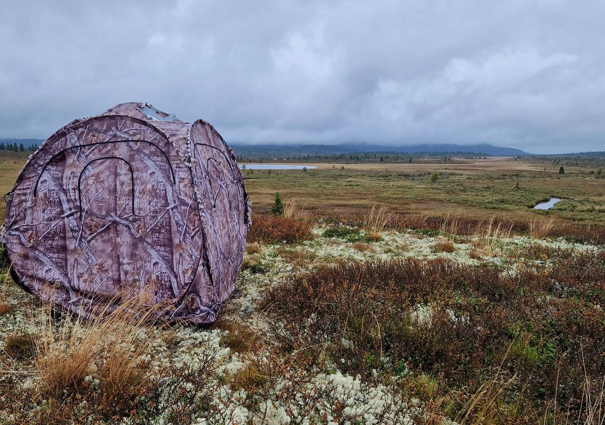 A photo hide in a field with a vast, open landscape, and distant hills under a cloudy sky.
