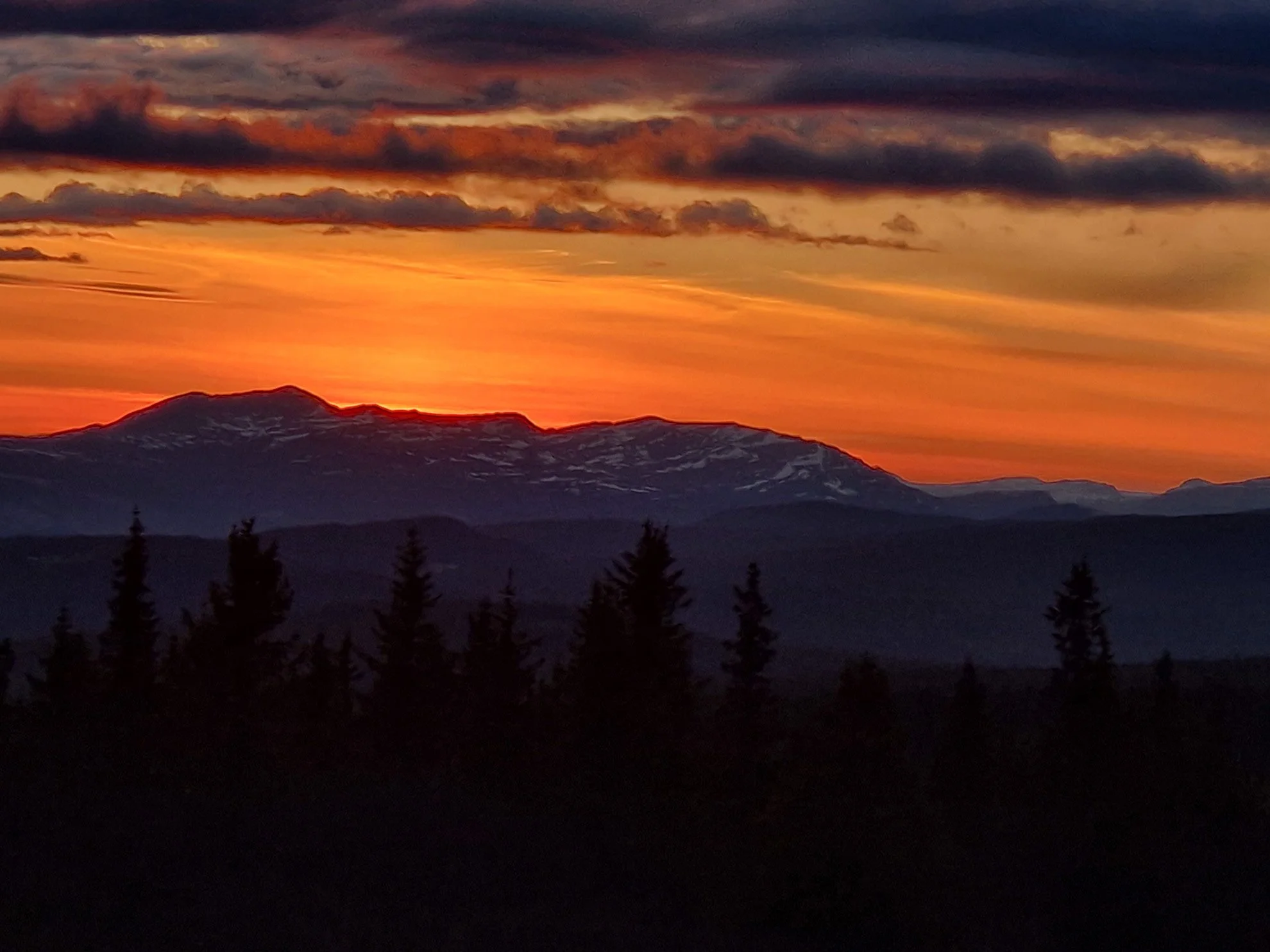 Sunset over mountains with dark forest in the foreground, colorful orange and pink sky with clouds.