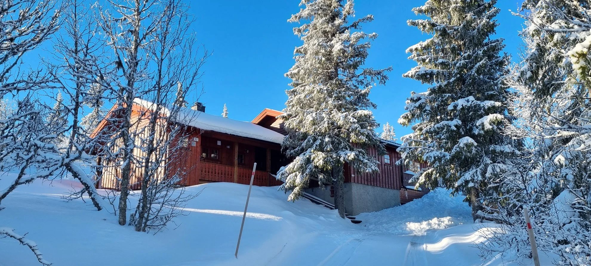 The cabin on a snowy hill surrounded by snow-covered trees under a clear blue sky.