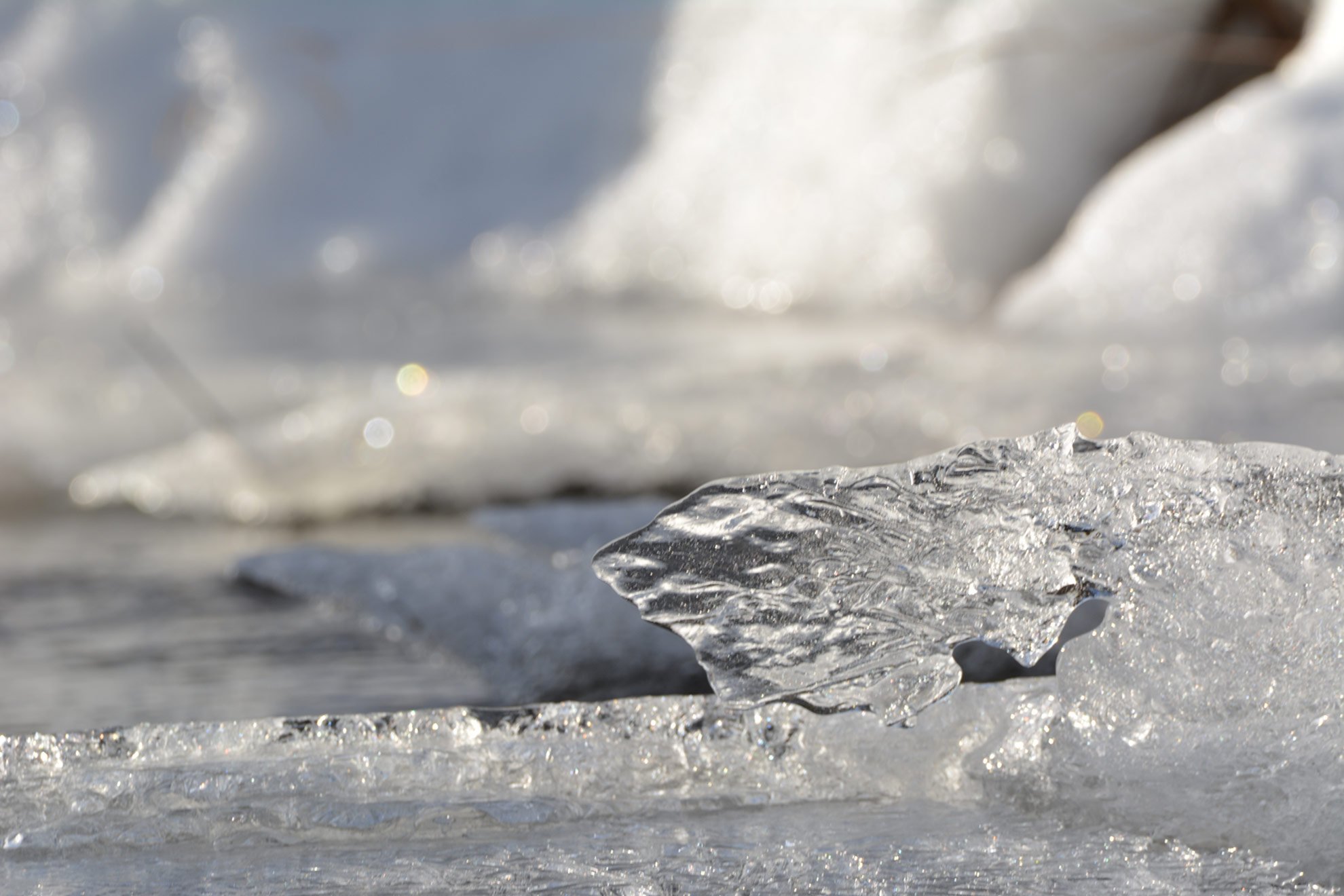 Close-up of a piece of clear ice lying on a snow-covered surface, with a blurred snowy background.