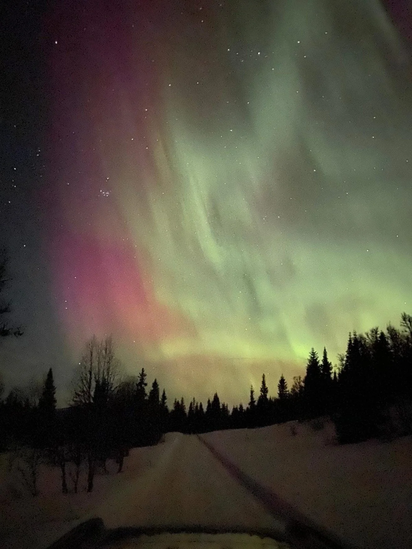 Northern lights in the night sky over a snowy landscape with trees.