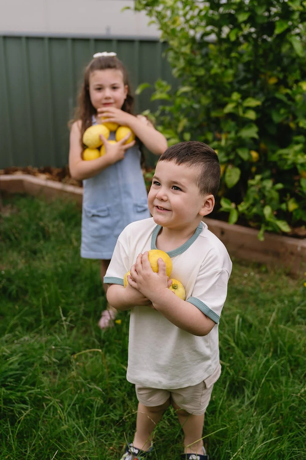 A young boy holding yellow apples close to his chest, smiling, standing on grass in a garden with a girl in the background holding lemons, in front of a green fence and a bush.