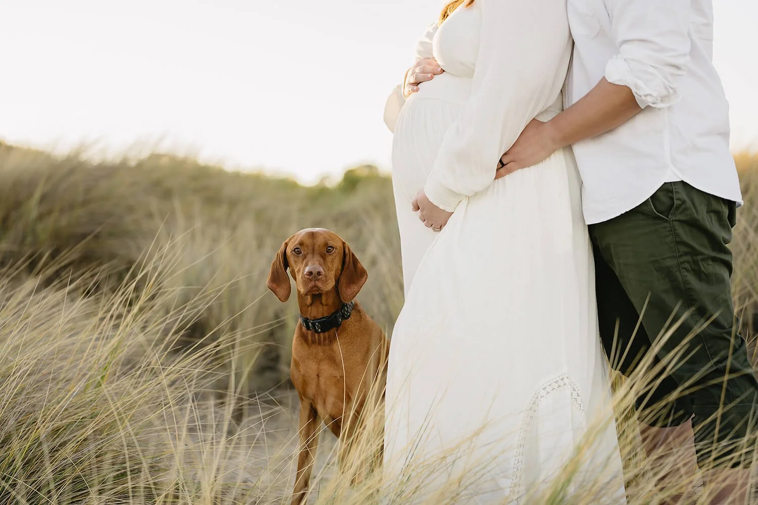A pregnant woman and a man standing outdoors in a grassy area, with a brown dog sitting nearby, all sharing a moment together.