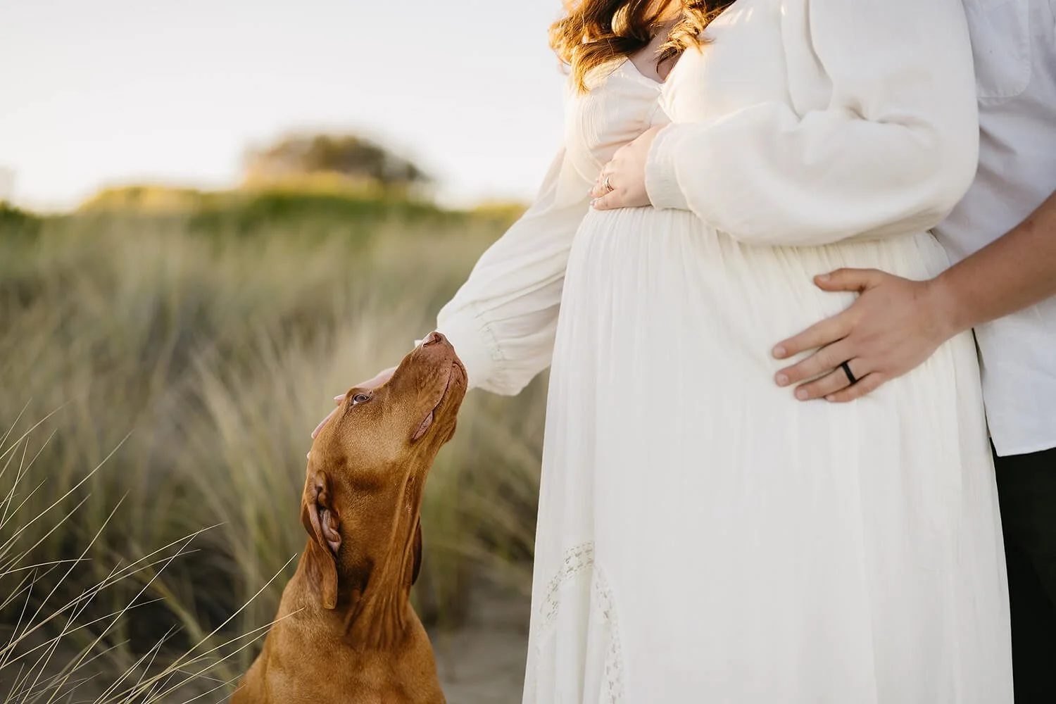 A pregnant woman in a white dress stands outdoors with a man, touching her belly. A brown dog stands on its hind legs, licking her belly. The background shows a grassy field with trees, under soft natural light.