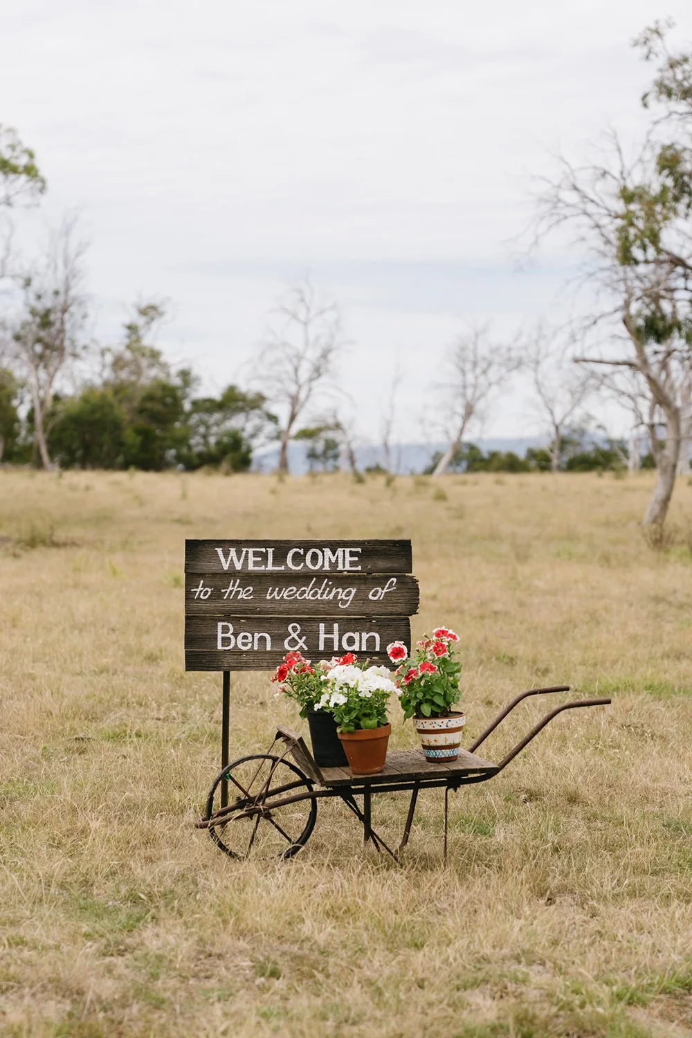 A rustic wedding welcome sign on a black wheelbarrow with potted red, white, and pink flowers, set in a grassy field with trees in the background.