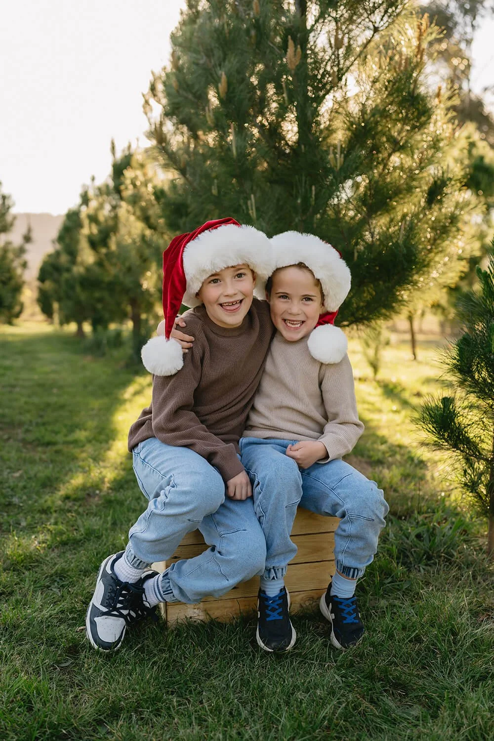 Children enjoying a relaxed Christmas photo session amongst the Christmas trees in Richmond