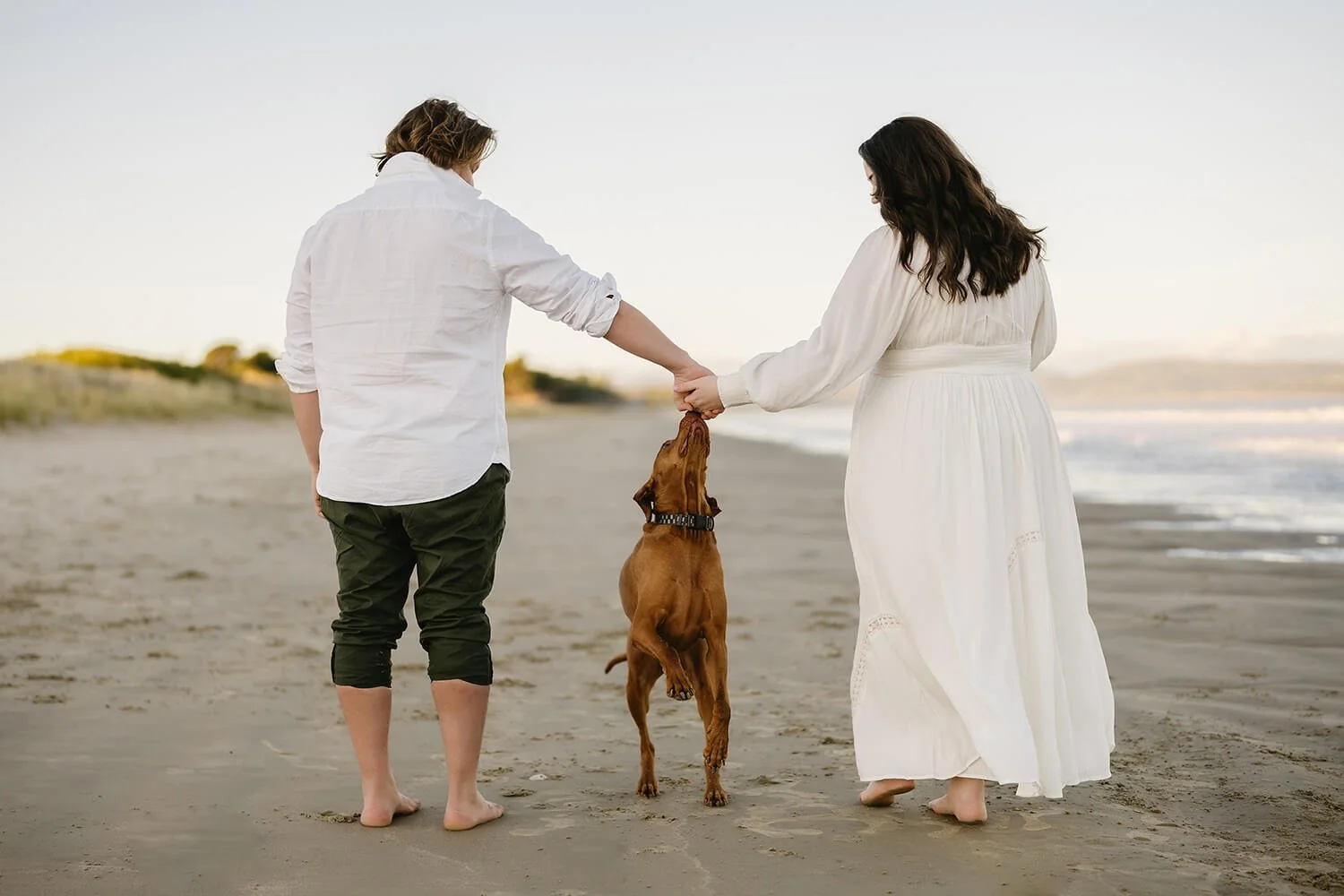 A couple holding hands on a beach with a dog between them, the dog is reaching up to kiss a woman in a white dress.