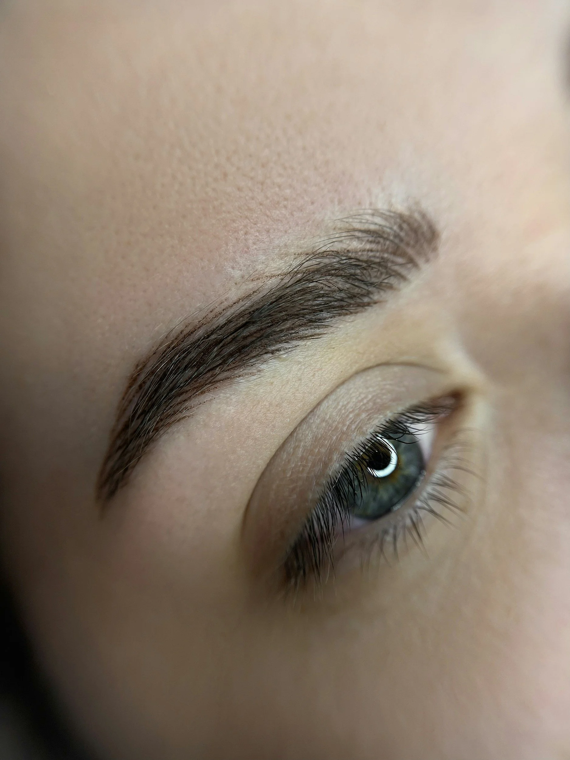 Close-up of a person's eye with makeup and well-groomed eyebrow.