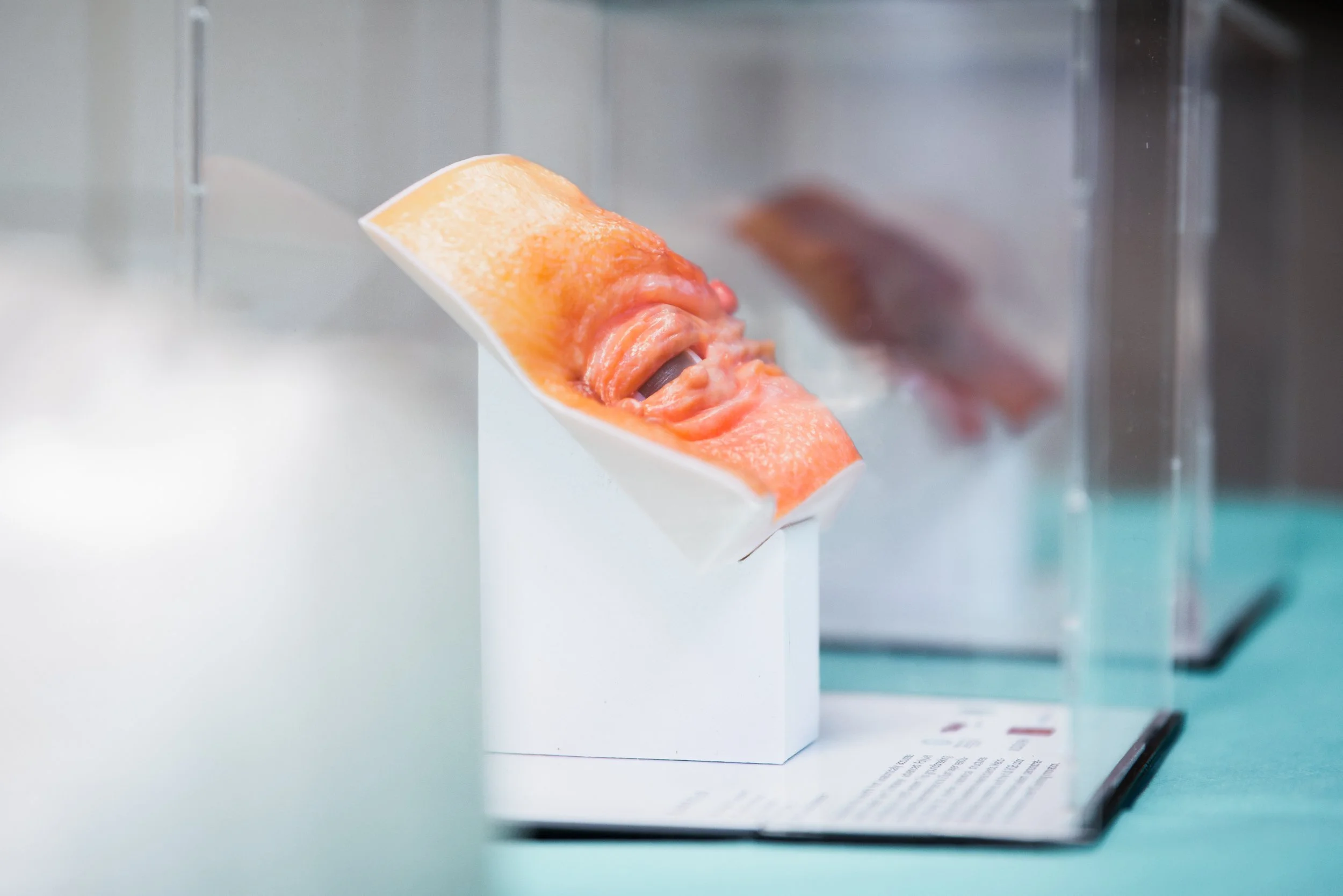 LidSUMMIT Tirol 2025