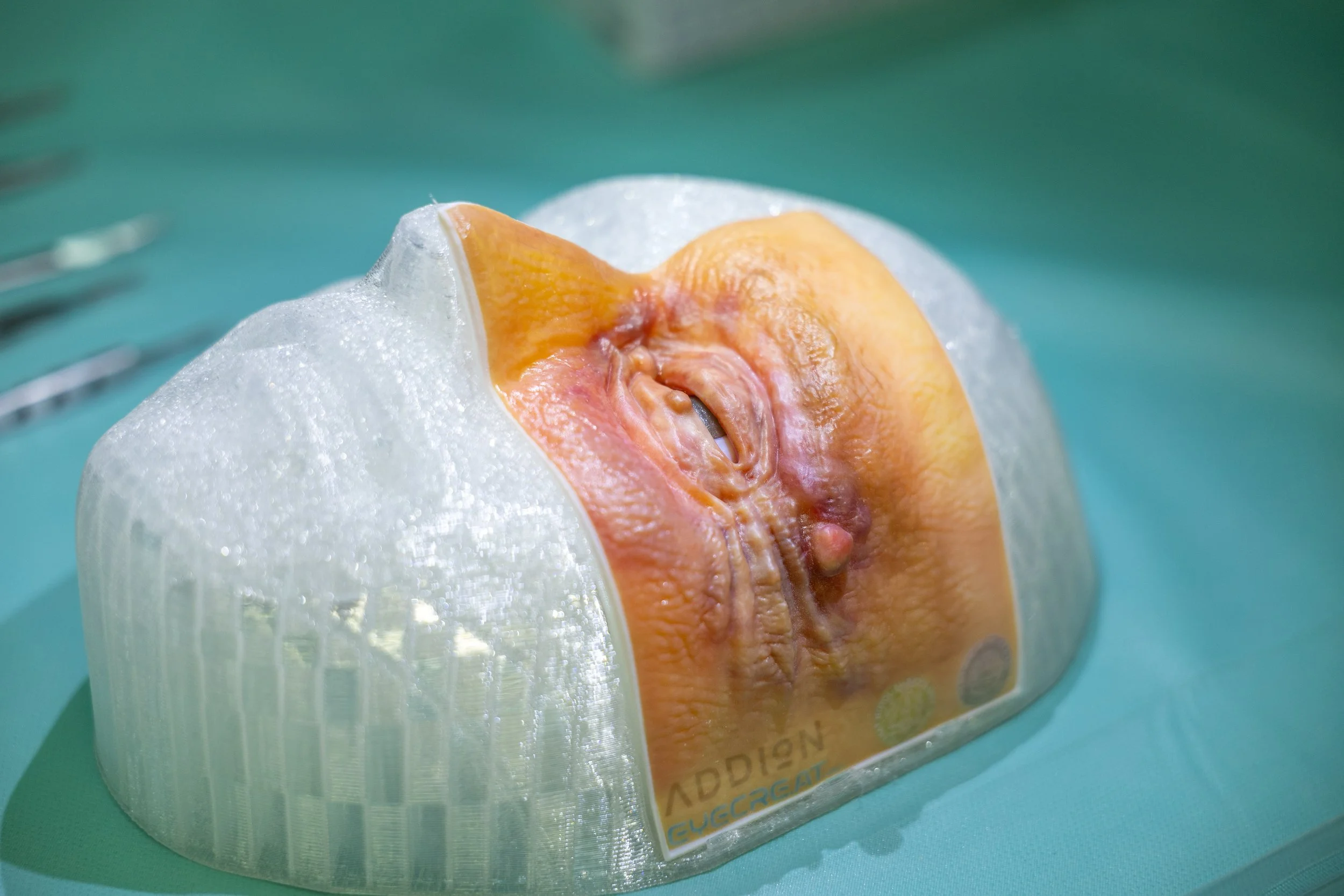 LidSUMMIT Tirol 2025