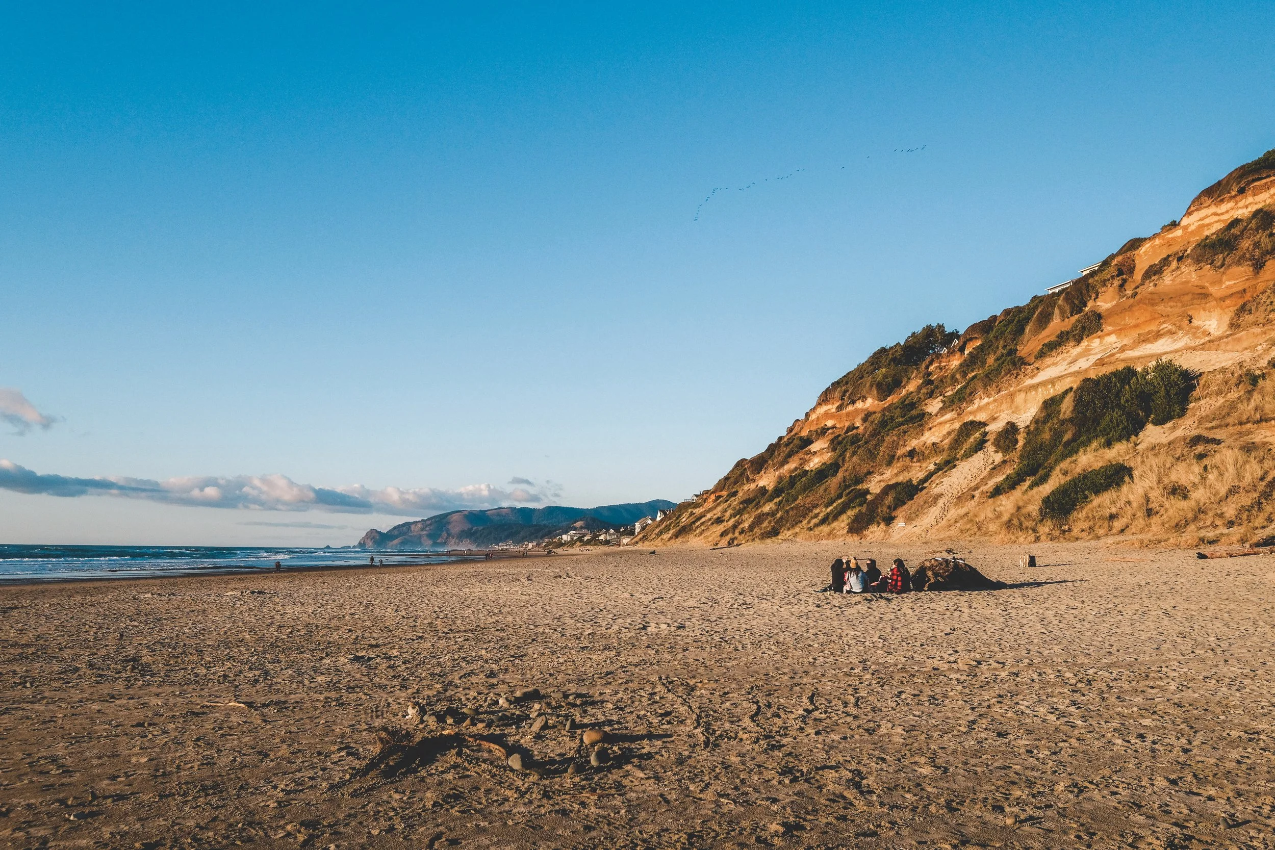 A scenic beach with golden sand, groups of people sitting around a driftwood log, ocean waves, distant cliffs, and a clear blue sky with some clouds and birds flying.