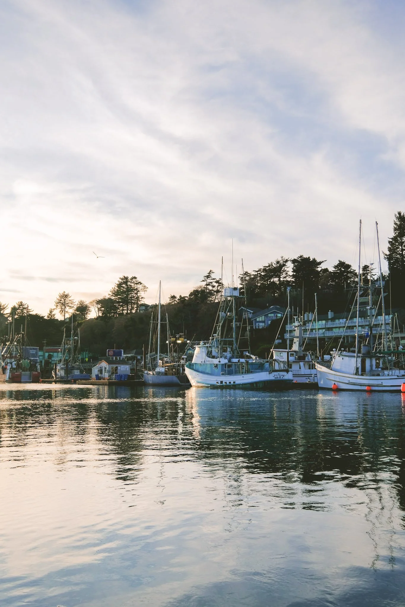 A marina with several sailboats and yachts docked, with a hillside and trees in the background during sunset.
