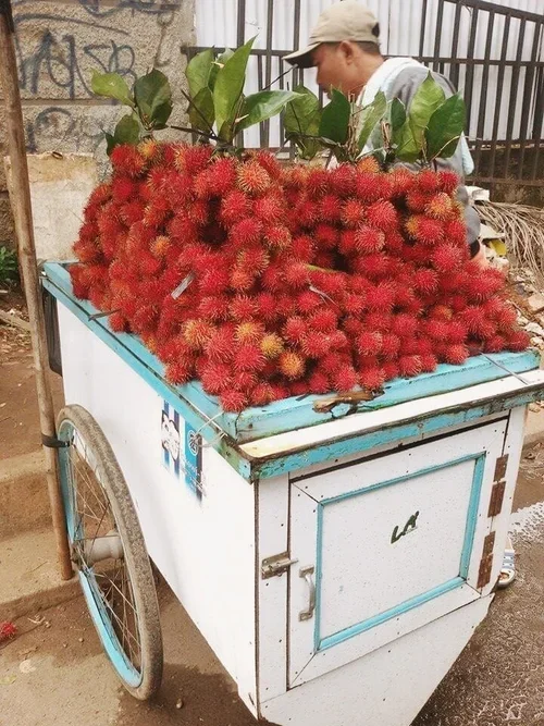rambutan+in+jakarta.webp