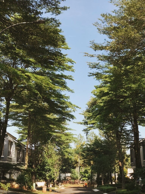 Life Right Now8.webp