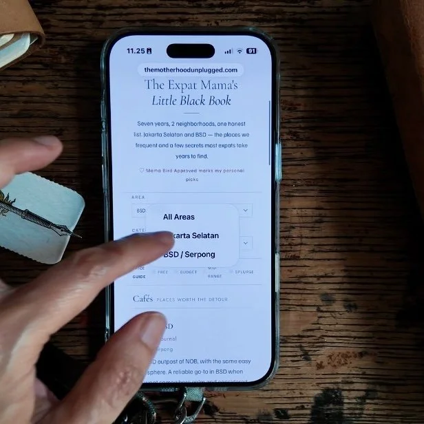 Ai, Ai, Ai! The Making of the Little Black Book for Expat Mamas- Old and New