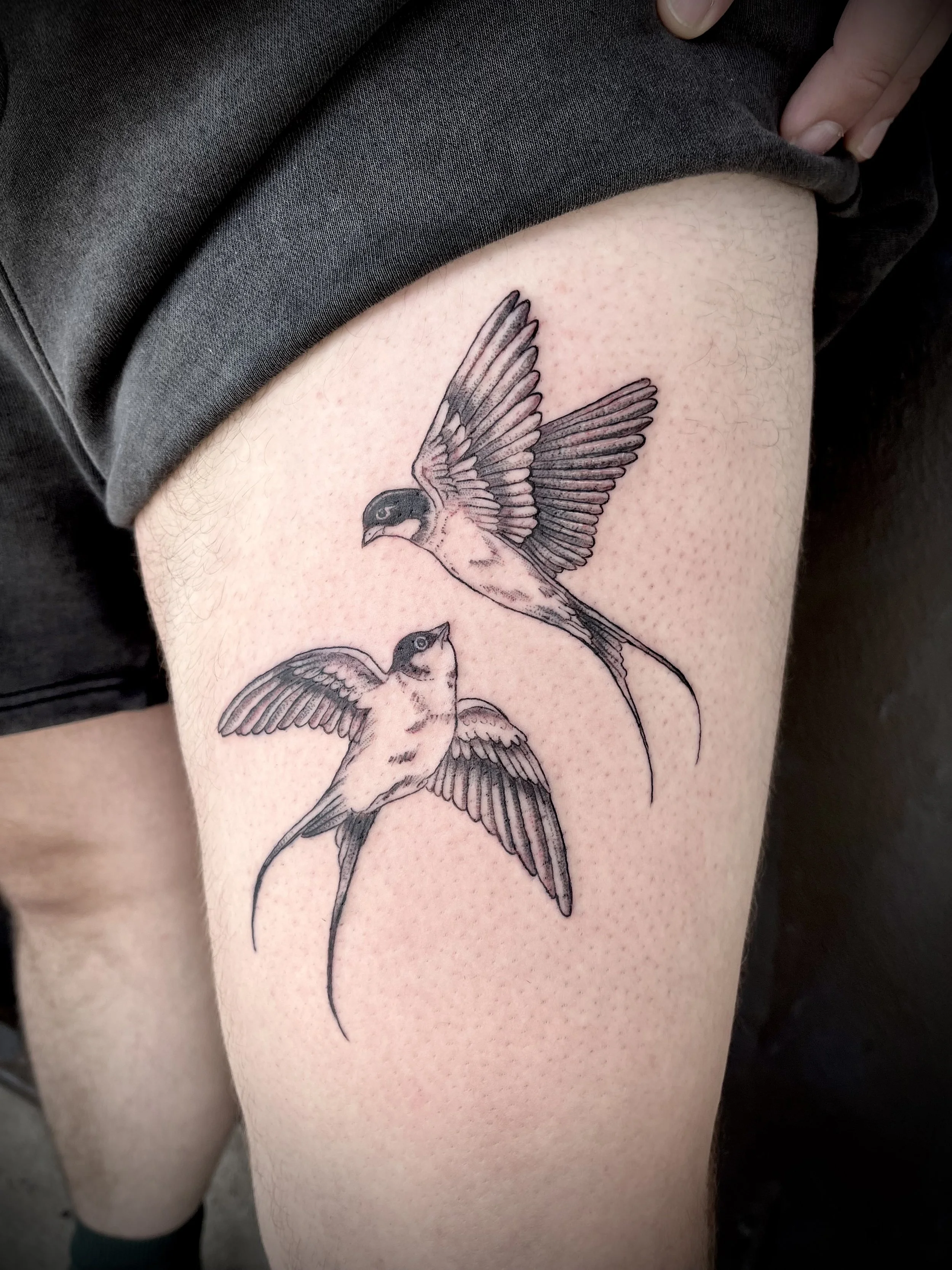 blue birds tattoo