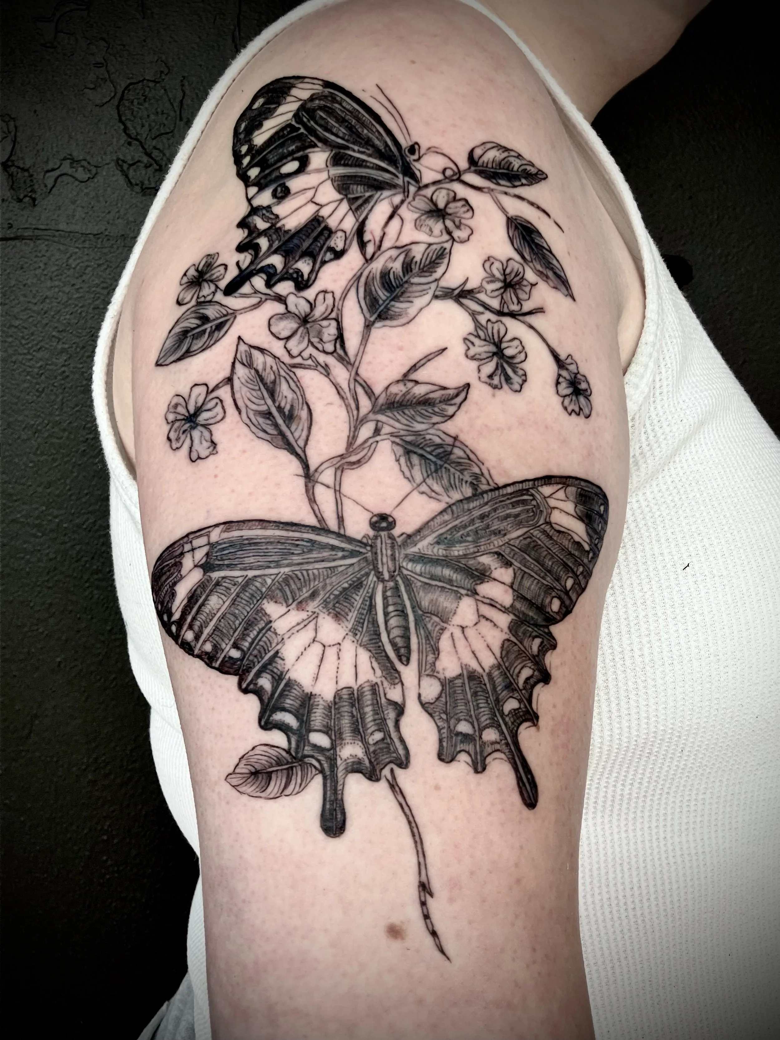 natural history tattoo