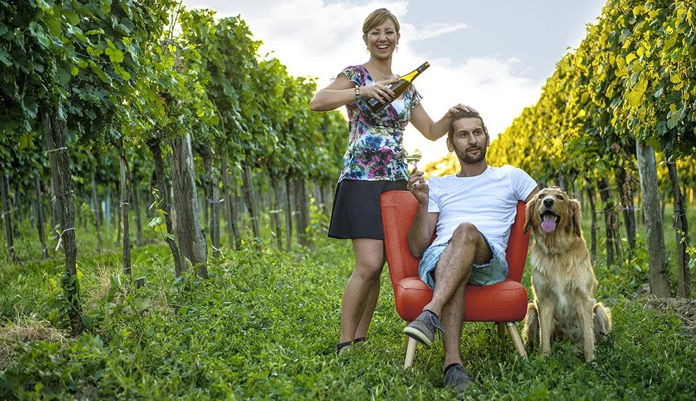 Bioweingut_Diwald_Weinberg.jpg