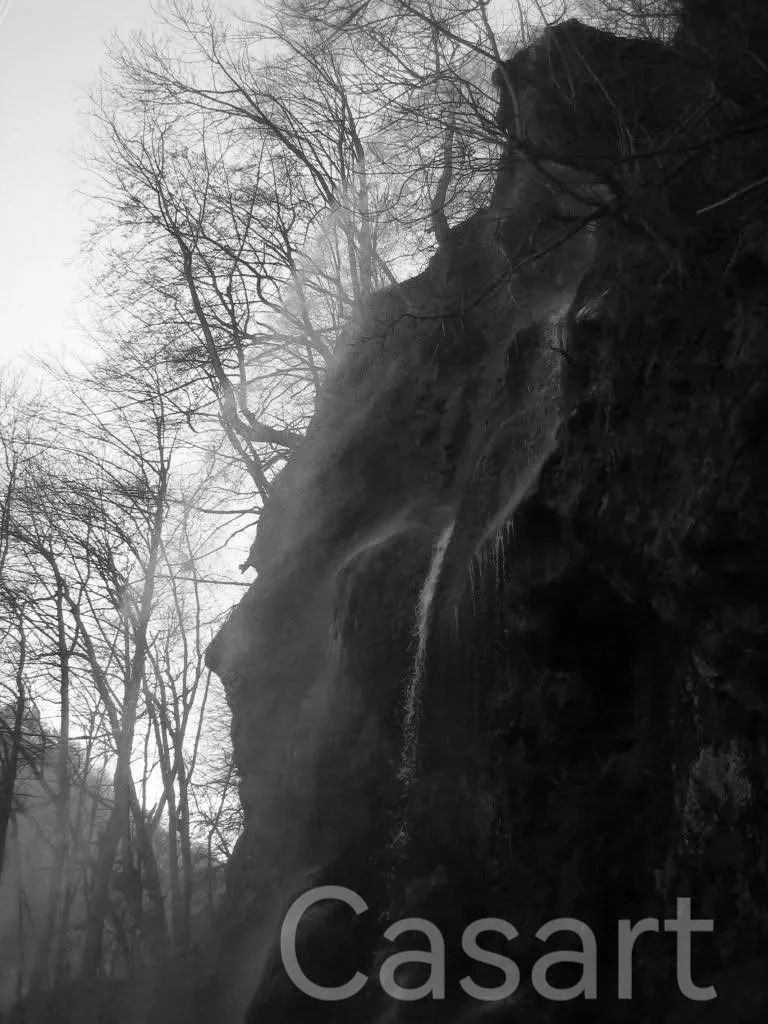 Ein Wasserfall fließt an einer Felswand mit Bäumen im Hintergrund, schwarz-weißer Himmel.