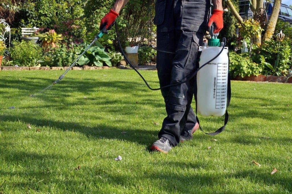 A person spraying a lawn with a backpack sprayer on a sunny day, with a garden and trees in the background.