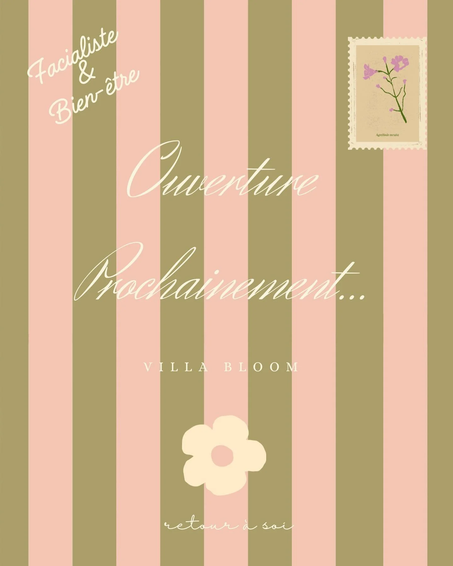 🌸 Bienvenue chez Villa Bloom 🌸
Un lieu de ressourcement, un retour &agrave; soi&hellip; en pleine nature.

Je vous partage les premi&egrave;res graines d&rsquo;un projet de c&oelig;ur :
transformer une maison en pierre &agrave; la campagne
en un es