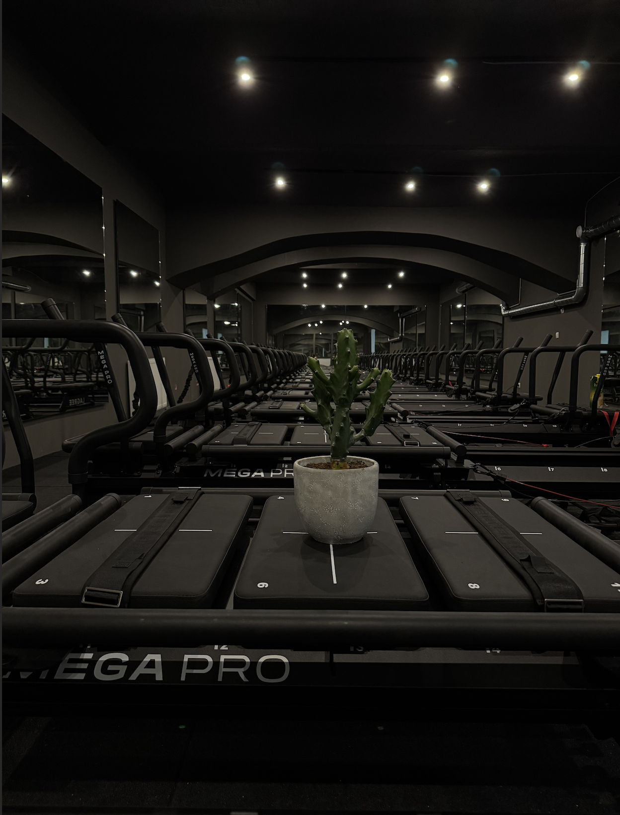 Indoor Lagree gym with multiple Lagree Megaformer machines, a potted cactus plant in the center, dim lighting, and a wall of mirrors reflective of the room.