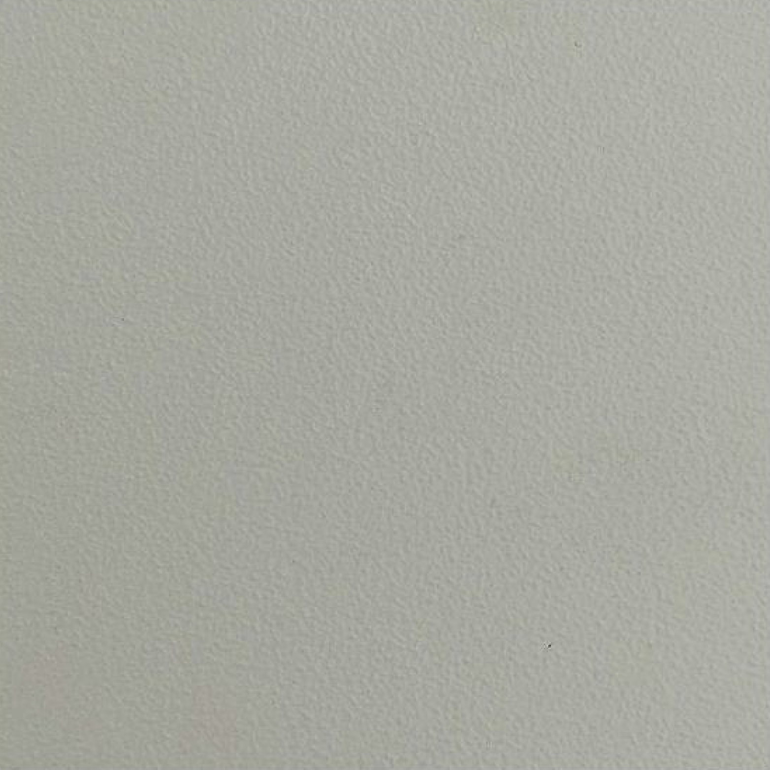 Farbmuster: lichtgrau