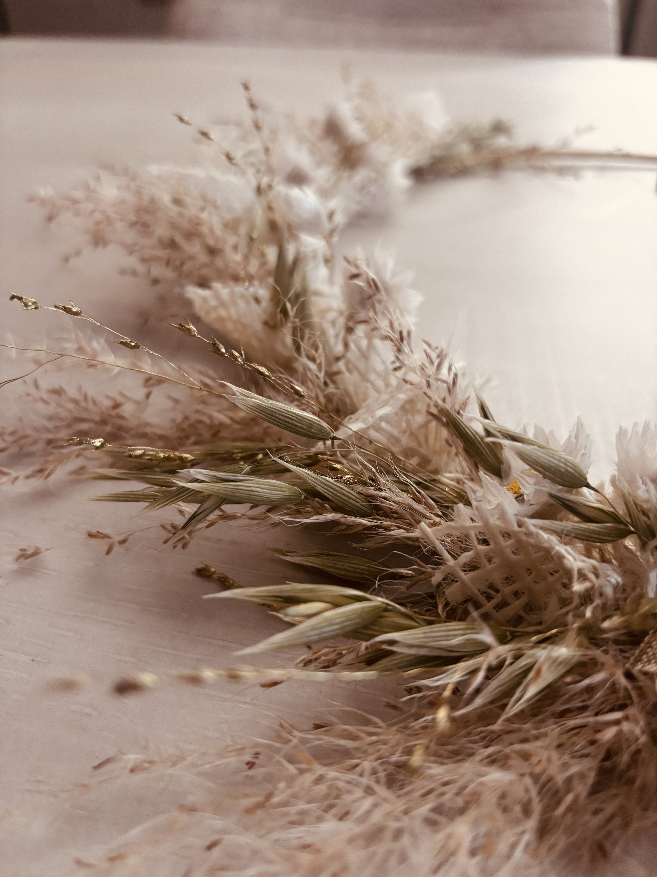 Rassemblement de fleurs séchées de couleurs neutres et naturelles sur un fond clair.