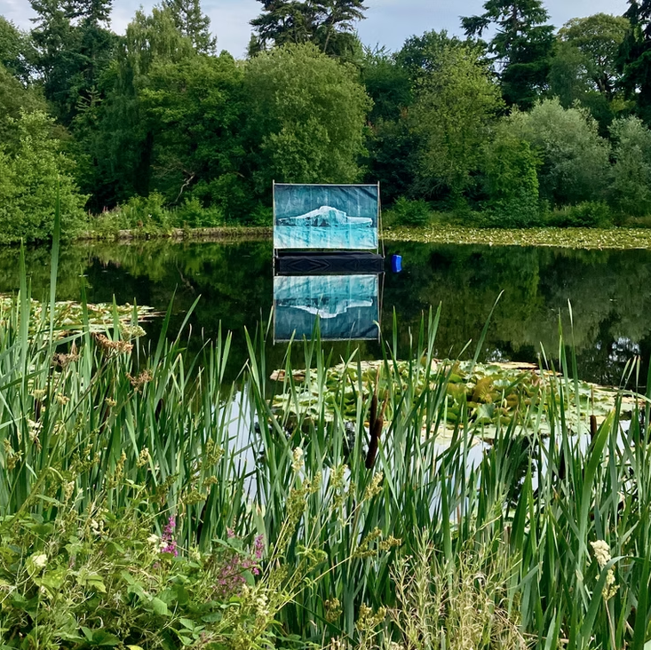 Calm pond surrounded by lush trees, with a blue floating water lift in the middle, reflected in the water, and various green plants in the foreground.