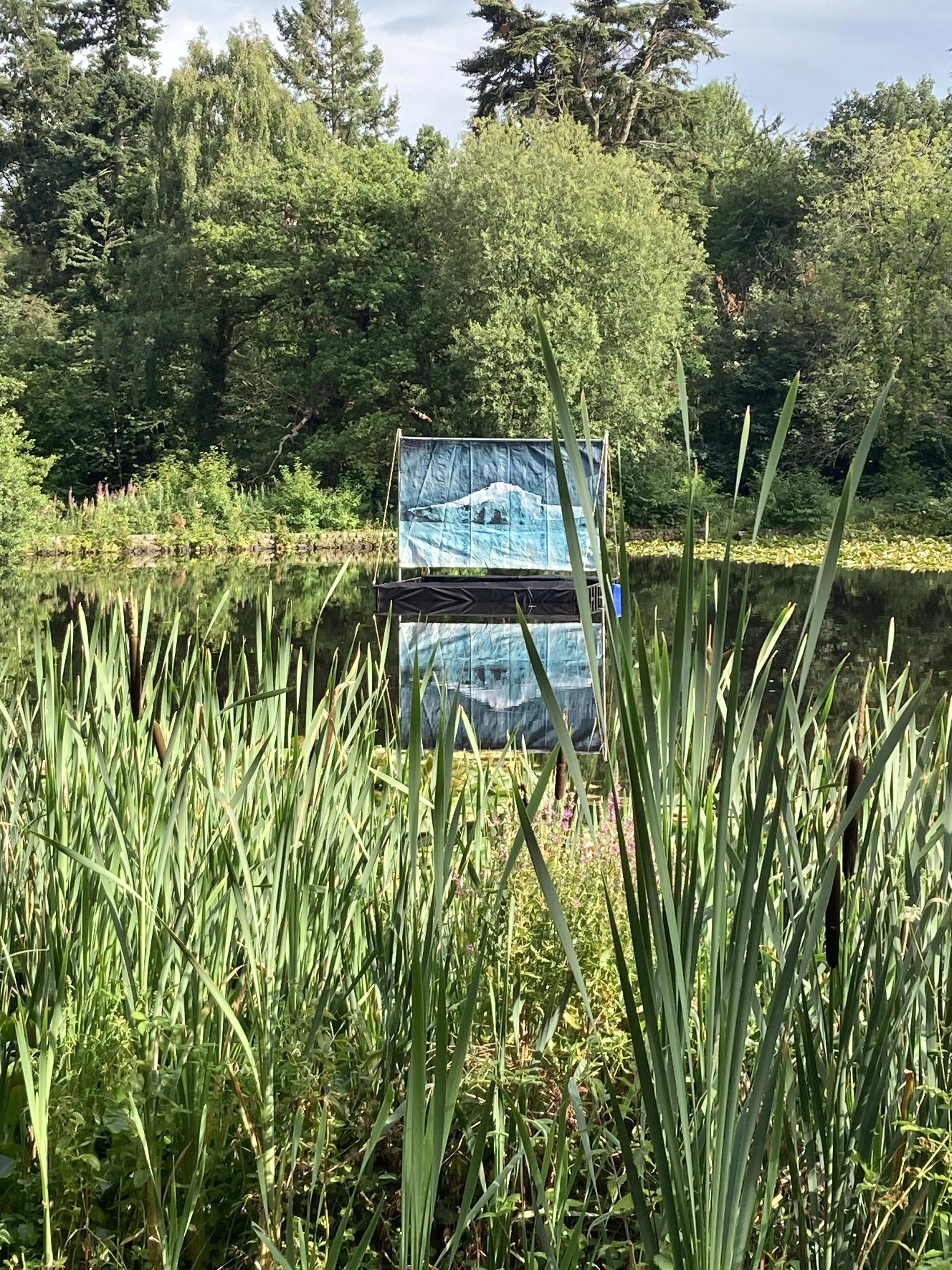 A tranquil pond scene with tall grass and reeds in the foreground, a flag with a mountain and wave design reflected in the water, and dense trees and greenery in the background.