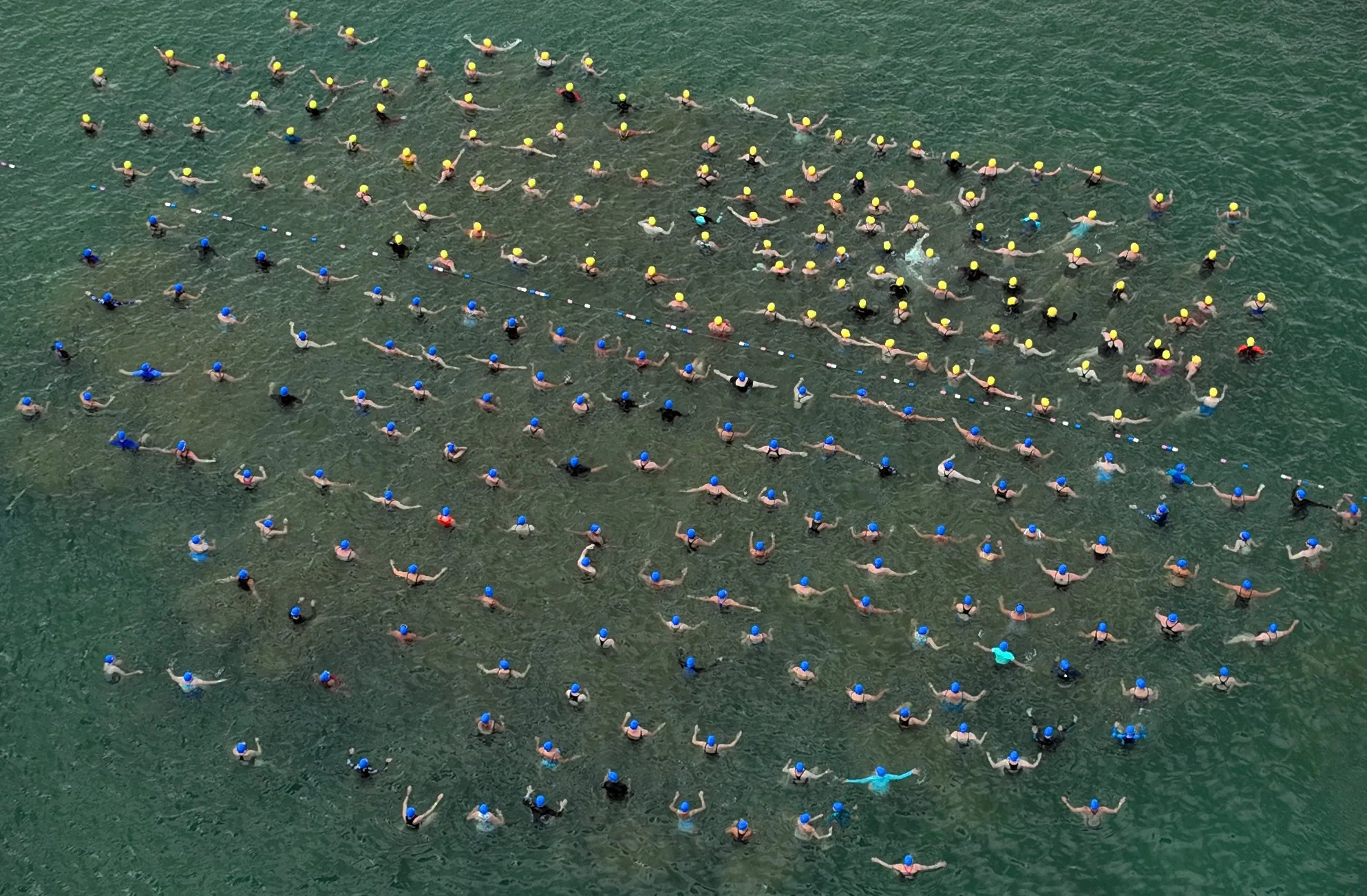 Aerial view of a large group of swimmers in water, wearing swim caps of yellow and blue, participating in a synchronized swimming or open water swimming event.