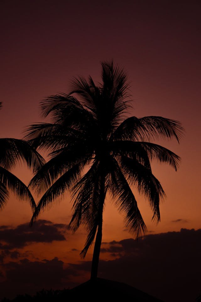 Relocation Services in the Côte d’Azur: From Administration to Home Setup