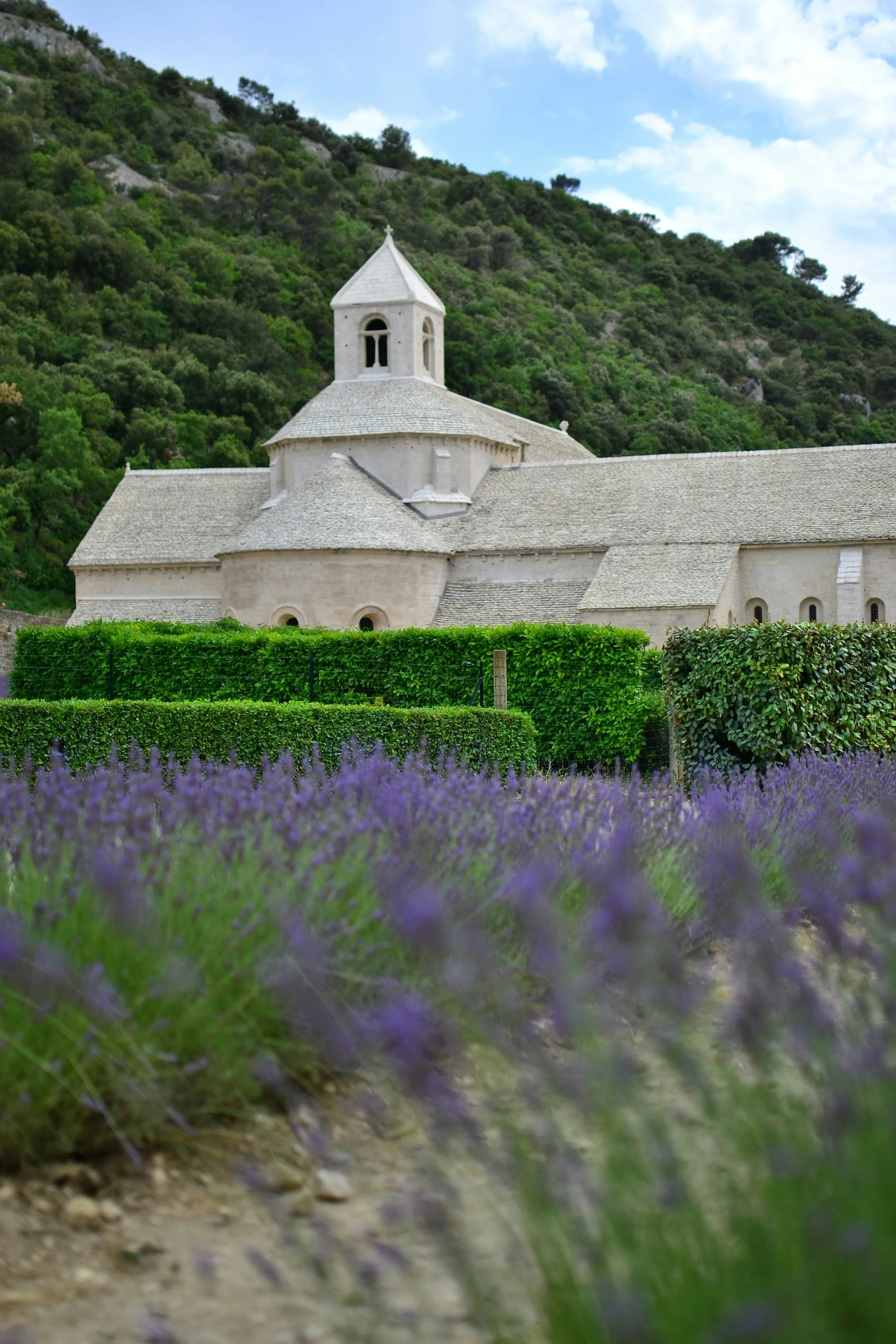 A Weekend in Valensole: Experience Provence at Lavender Season