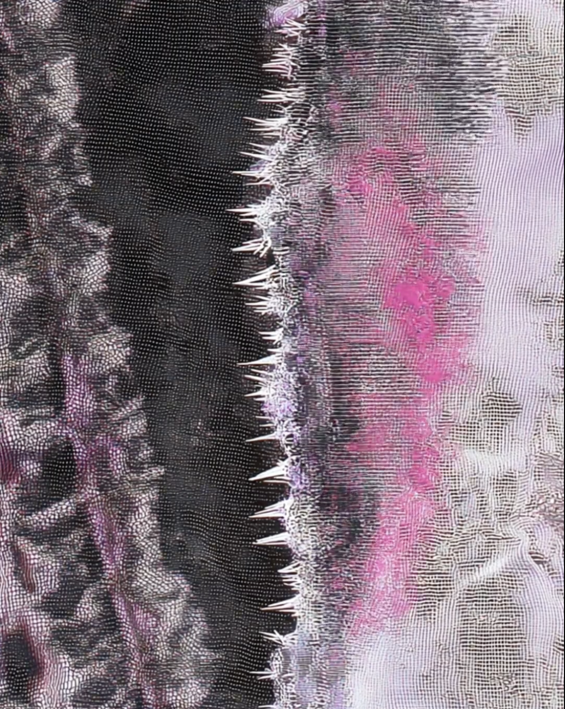 Private View