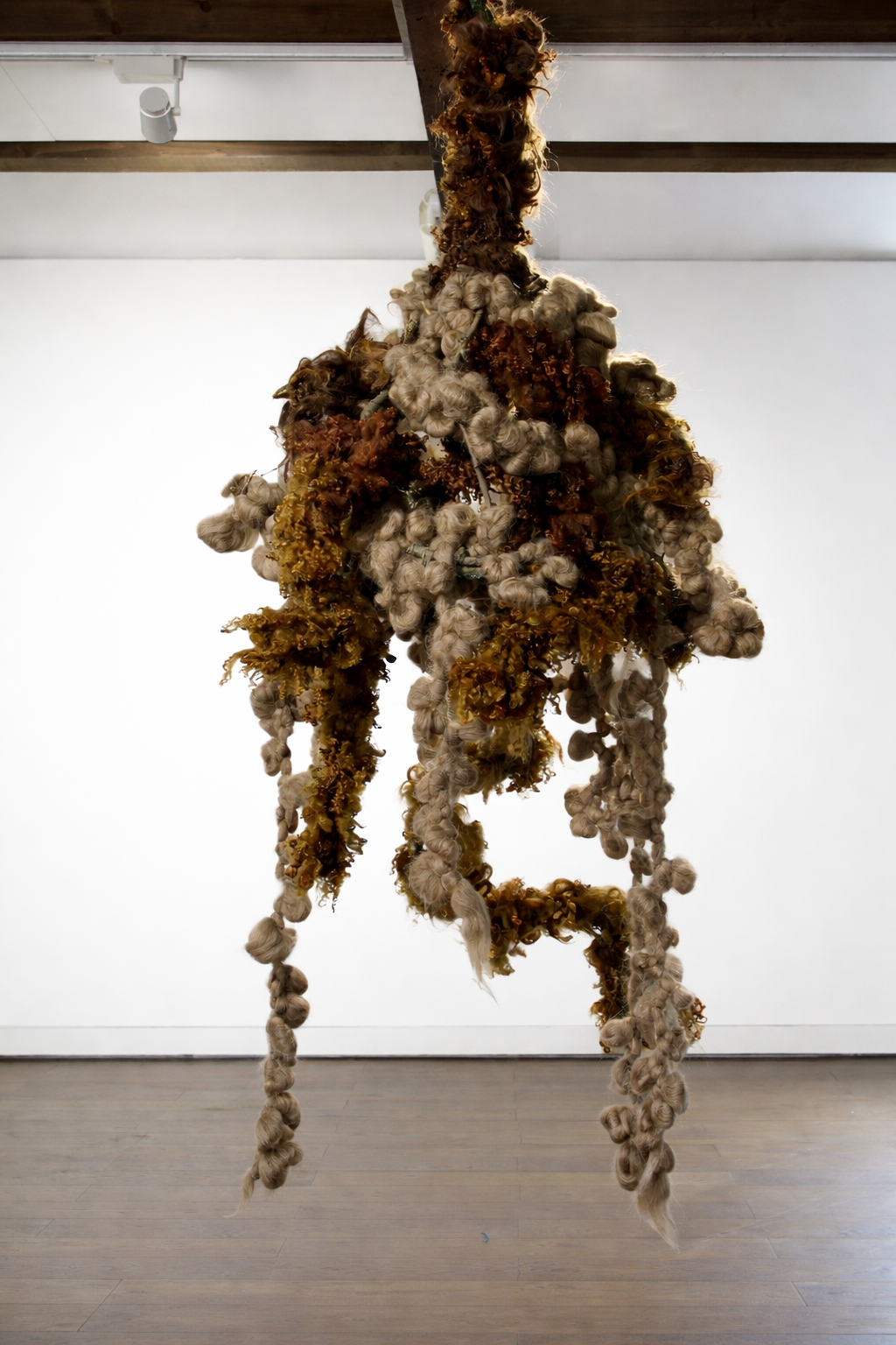 CAMILA BARVO | WOOLNEST | 2025