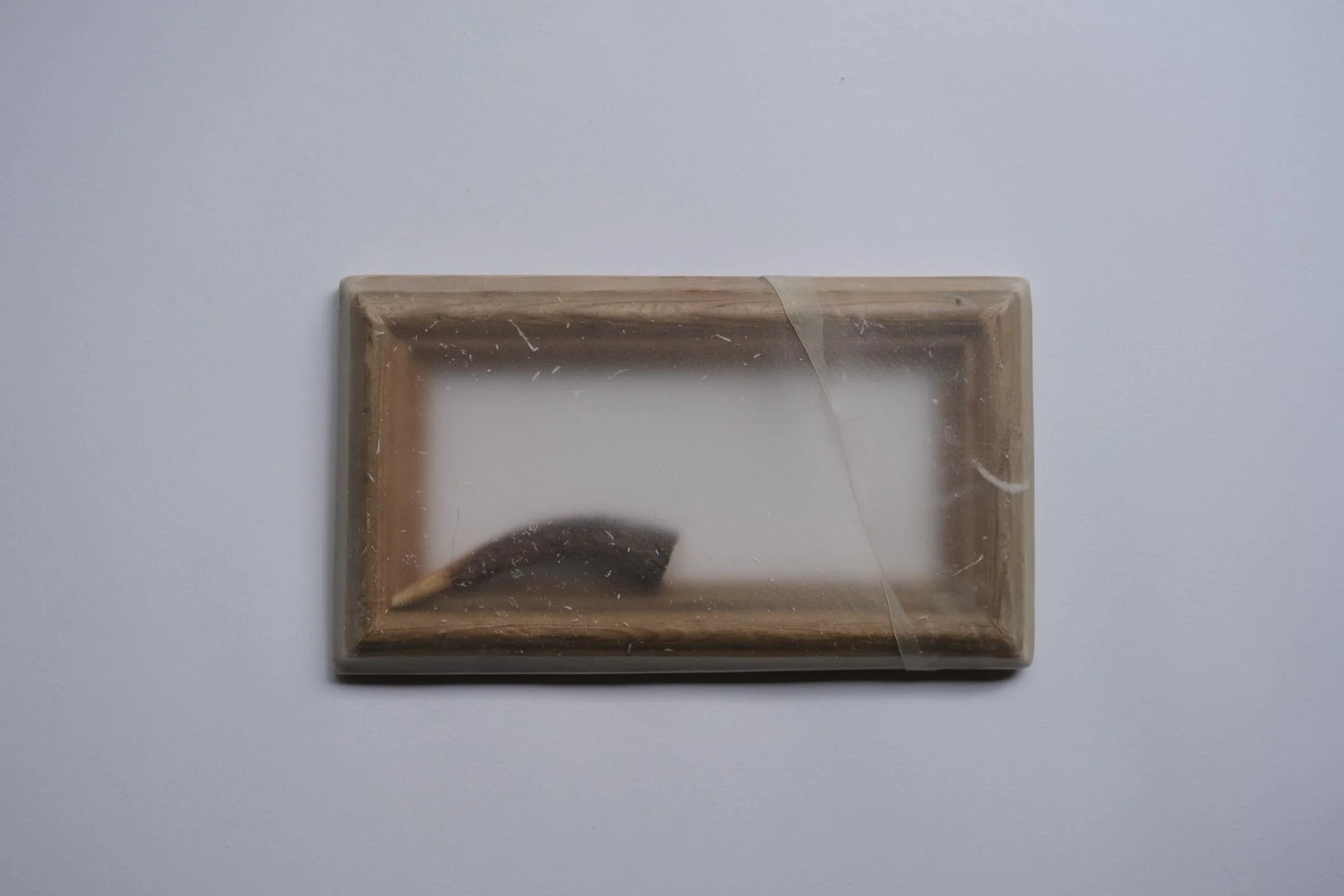 FRANCES PINNOCK | WINTER | 2025