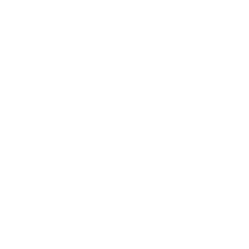CInsights Consulting