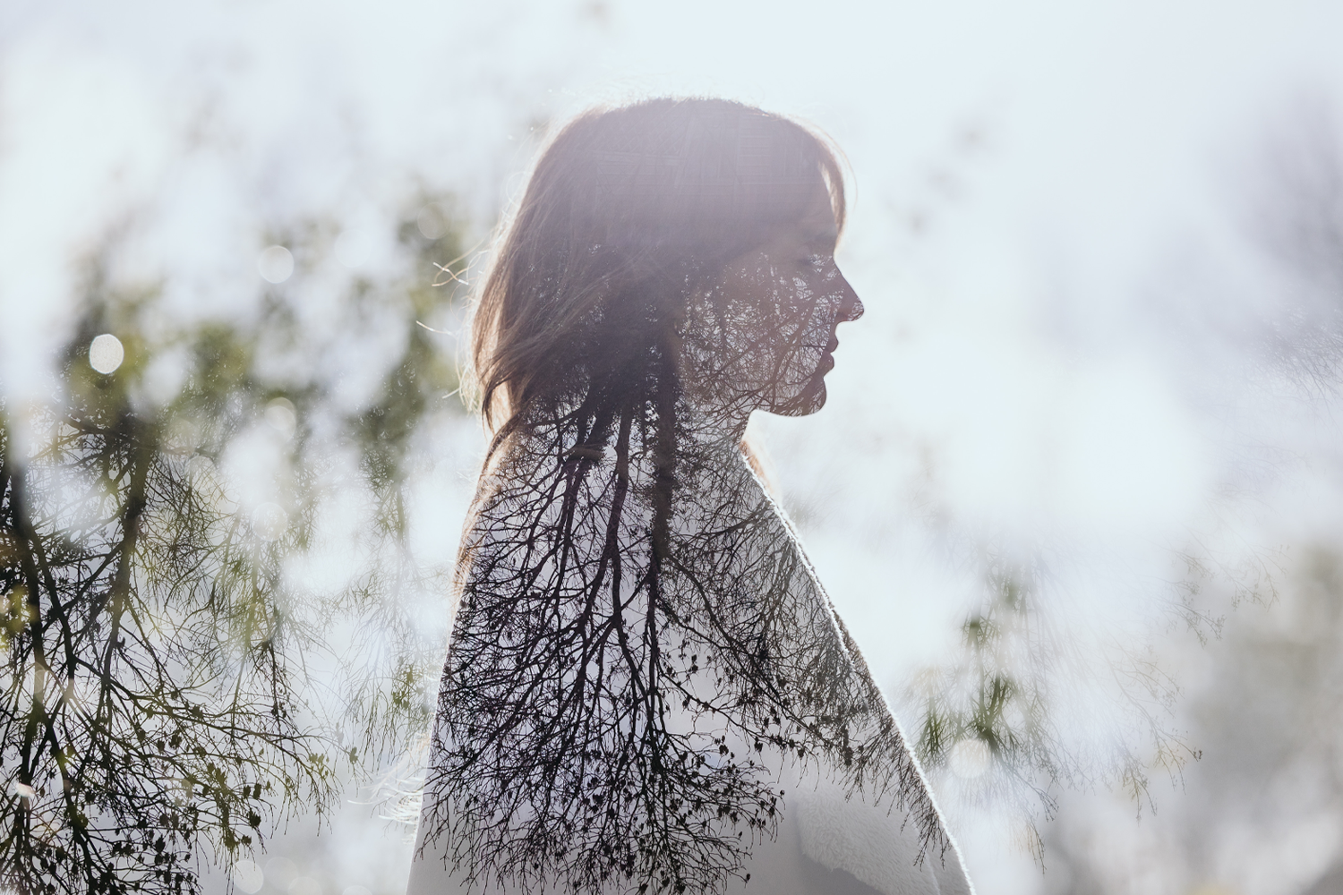 A double exposure image showing the profile of a woman with a background of leafless tree branches and sunlight.