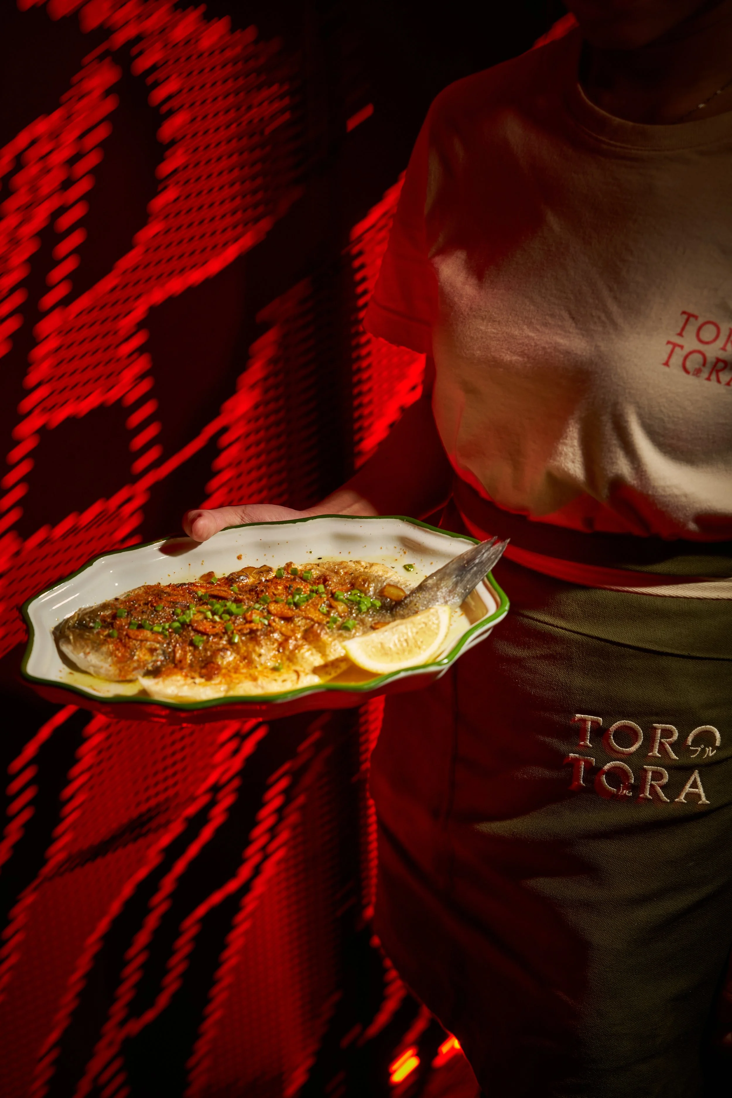 ToroTora 05_11_25_1371.jpg