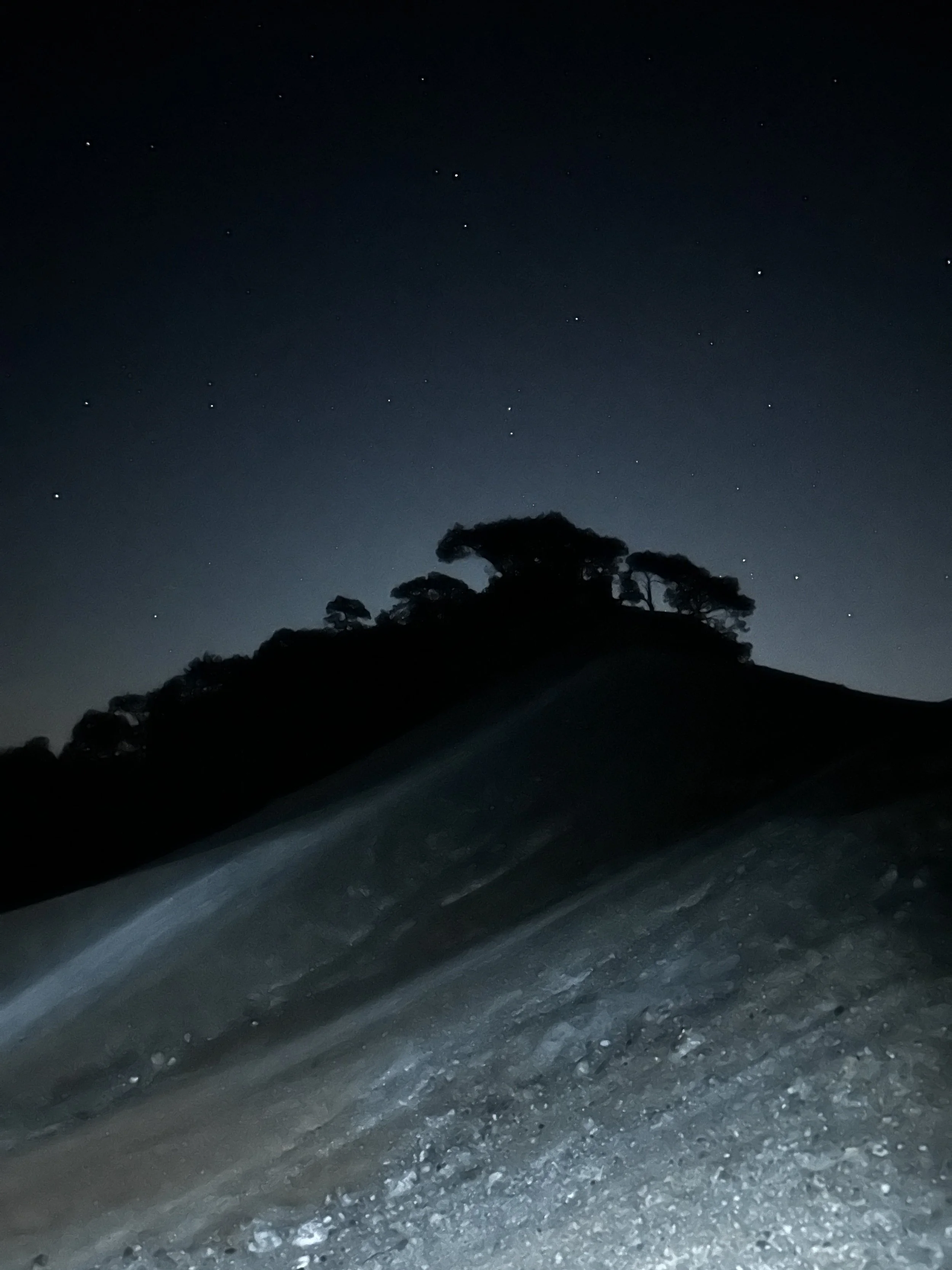 Silhouette of a hill with trees against a starry night sky. The foreground shows a gravelly or sandy surface.
