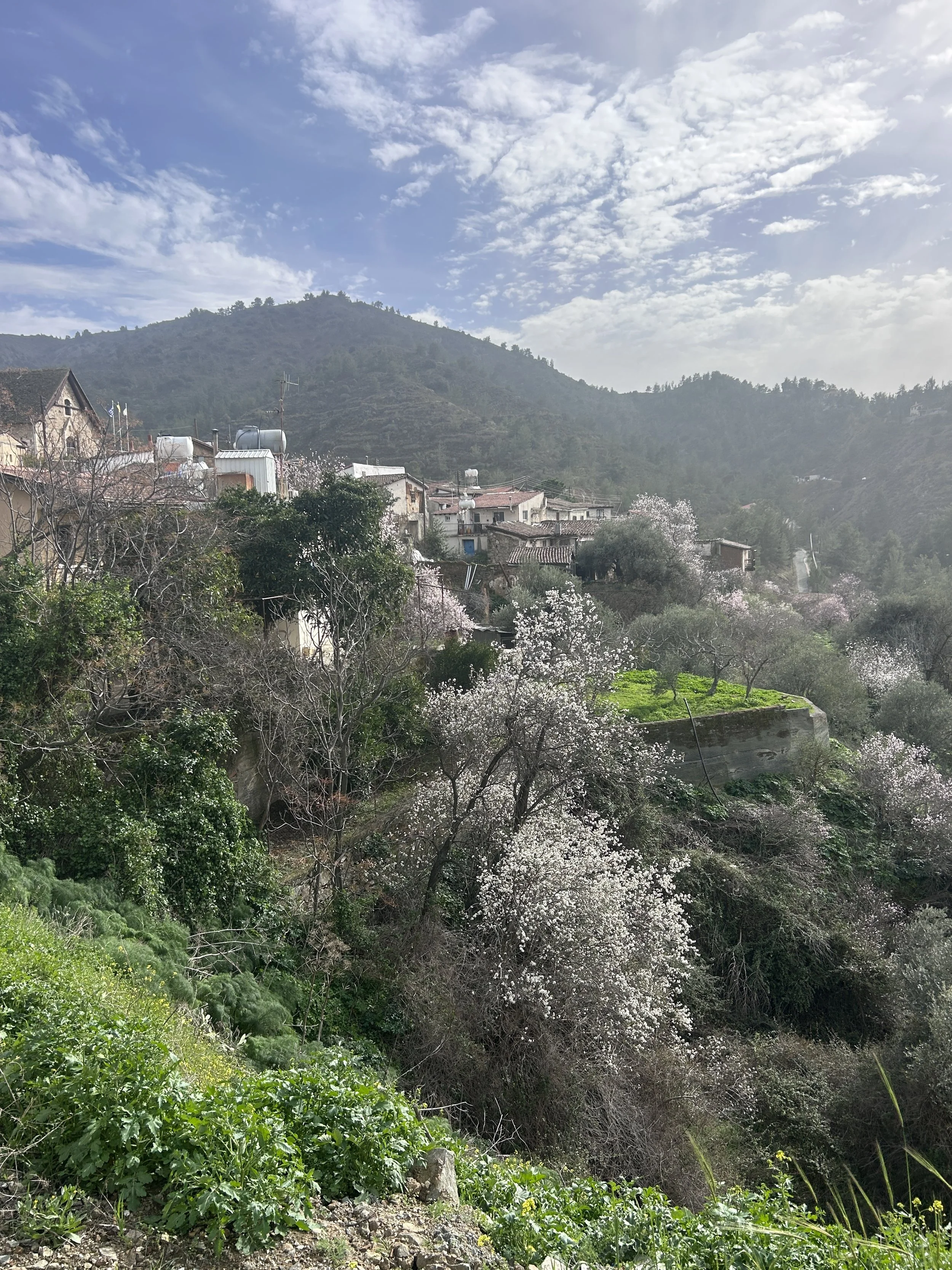 Scenic view of a hillside village with houses, trees, and flowering plants, under a partly cloudy sky.