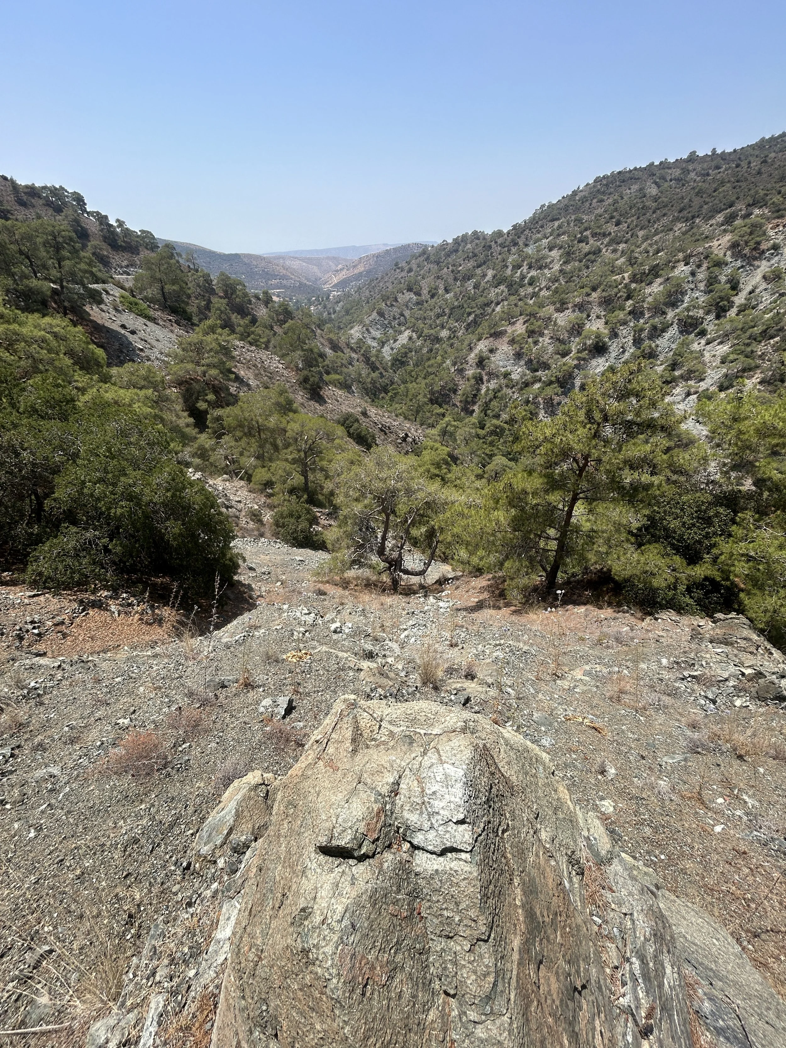 A rugged mountain canyon with sparse vegetation, rocks, and trees under a clear blue sky.