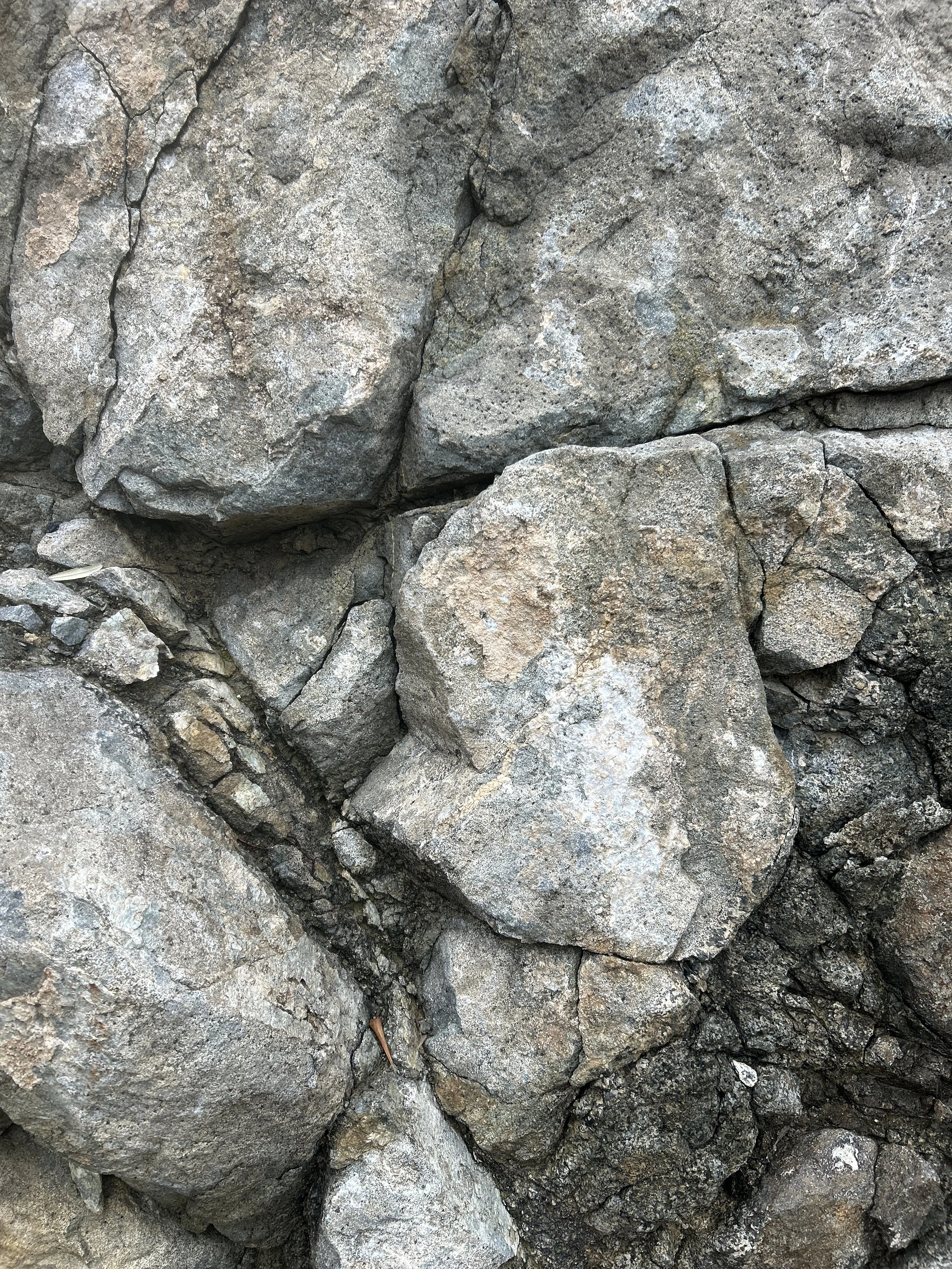Close-up of a rocky surface with various-sized gray and tan stones and cracks.