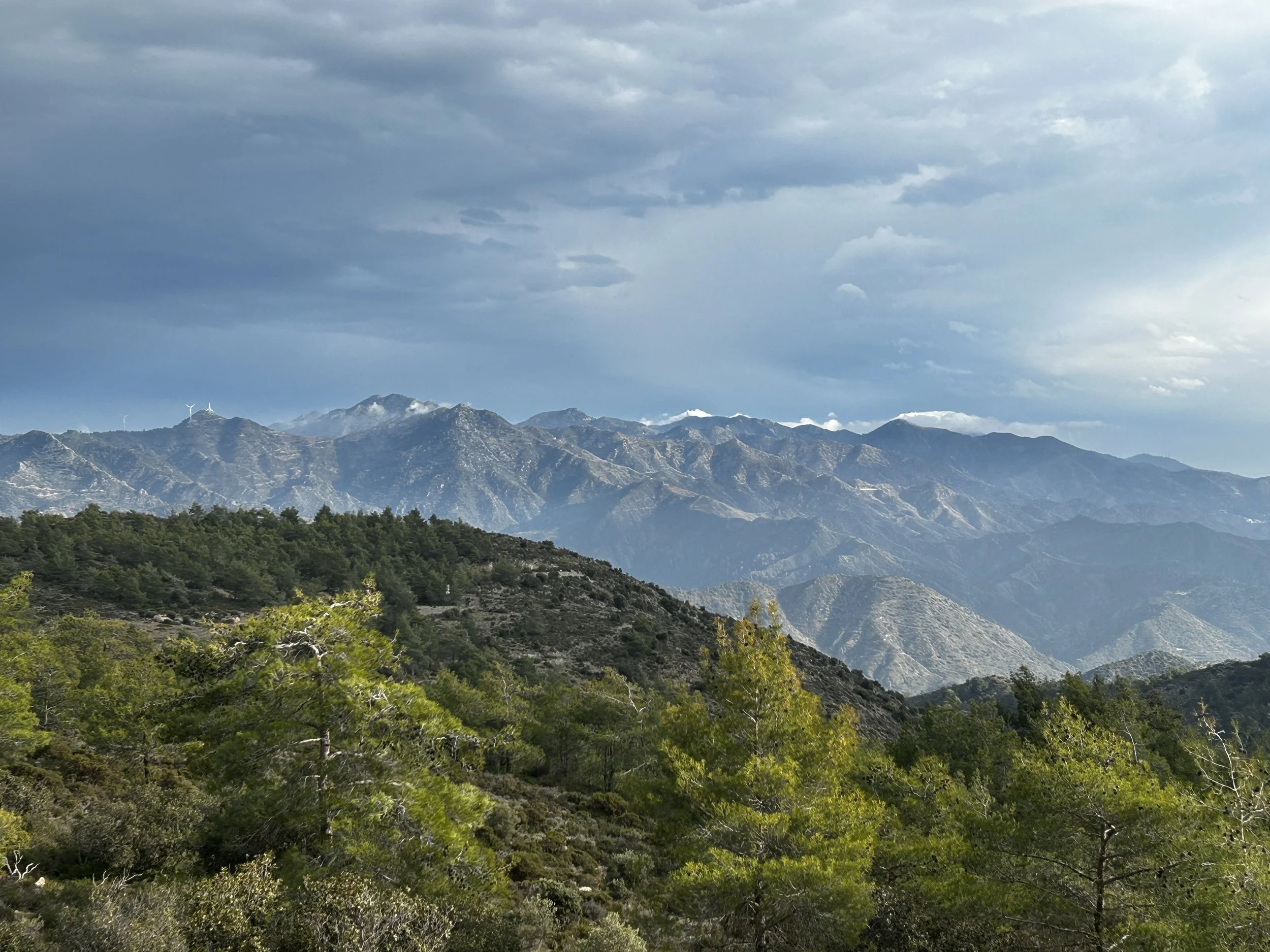 A landscape view of green trees on a hillside with mountains in the background under a stormy sky.