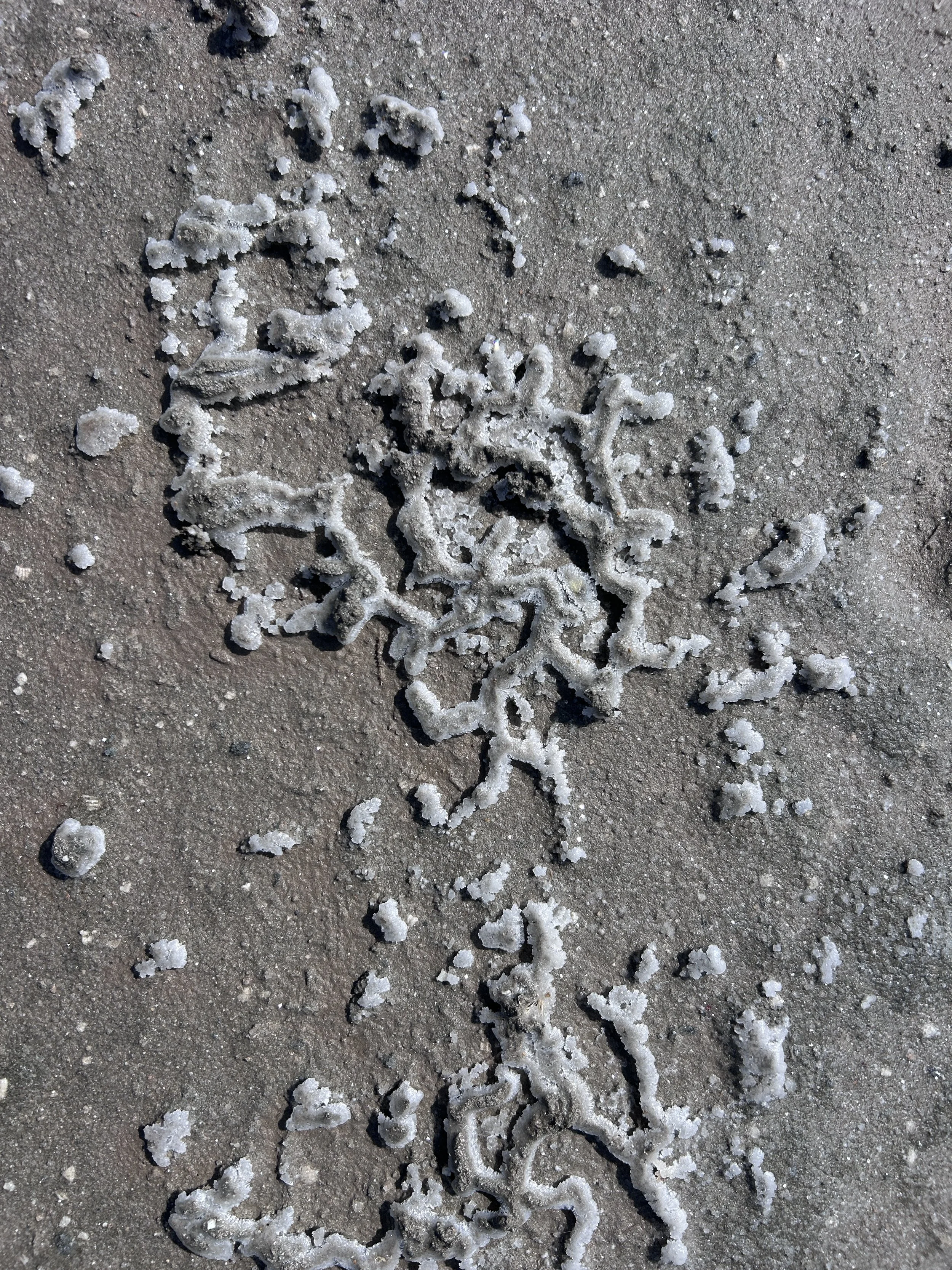Close-up of salt crust on sand, with irregular white formations and scattered small salt crystals.