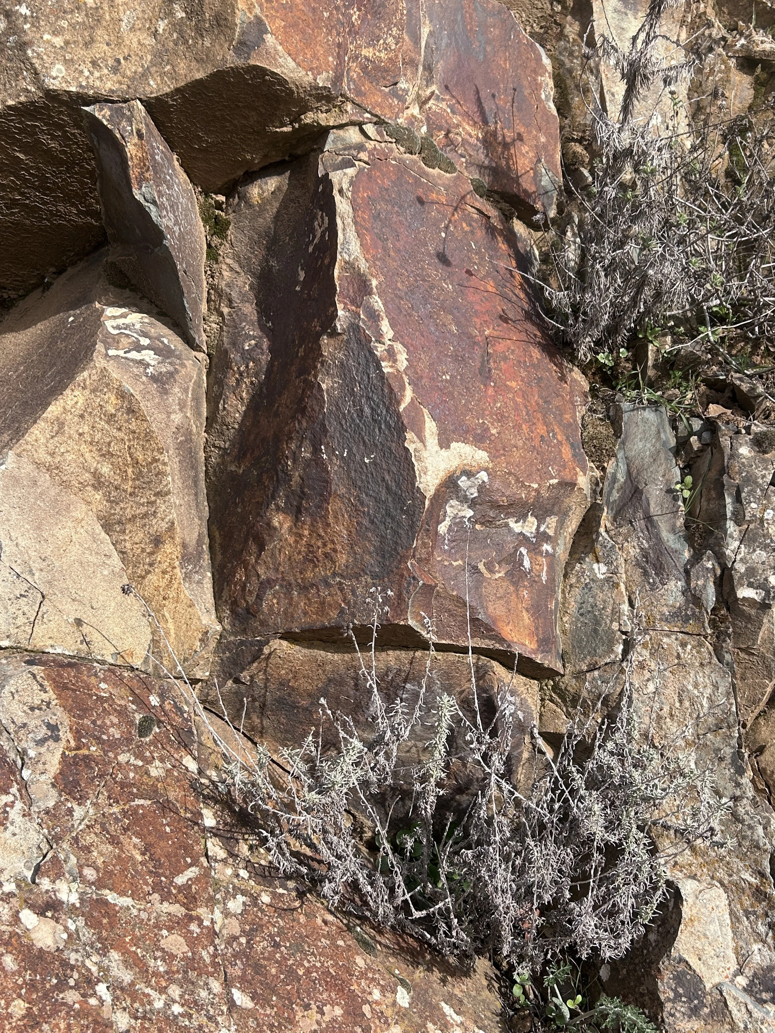 Close-up of reddish-brown and tan rocks with dry, grayish vegetation between them.
