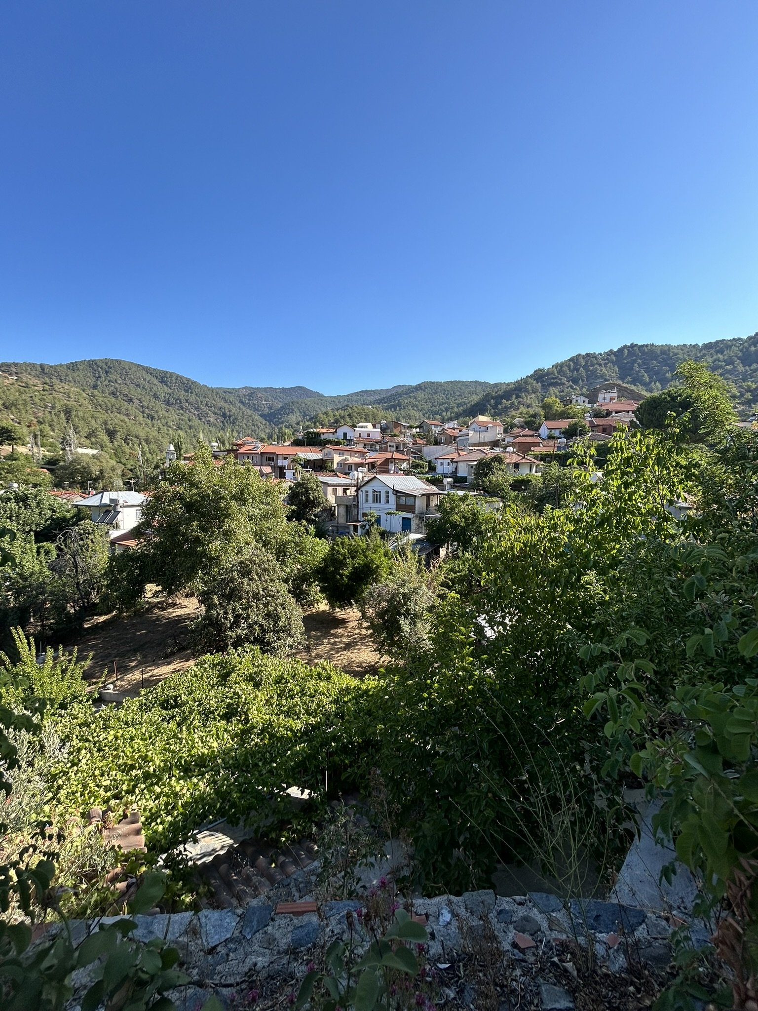 A hillside neighborhood with houses, trees, and mountains in the background under a clear blue sky.