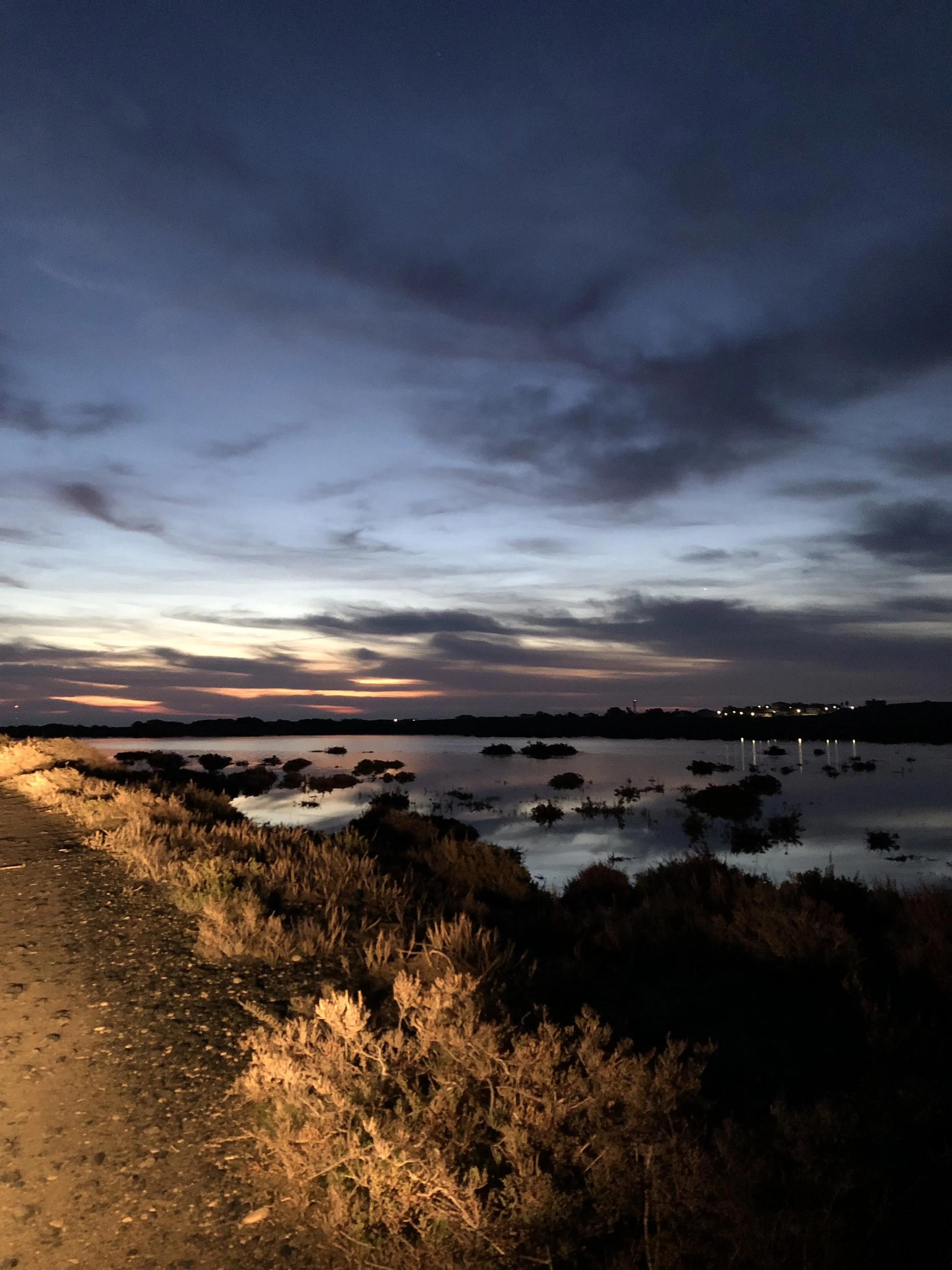 A scenic sunset over a body of water with islands and shrubs in the foreground, cloudy sky, and distant lights on the horizon.