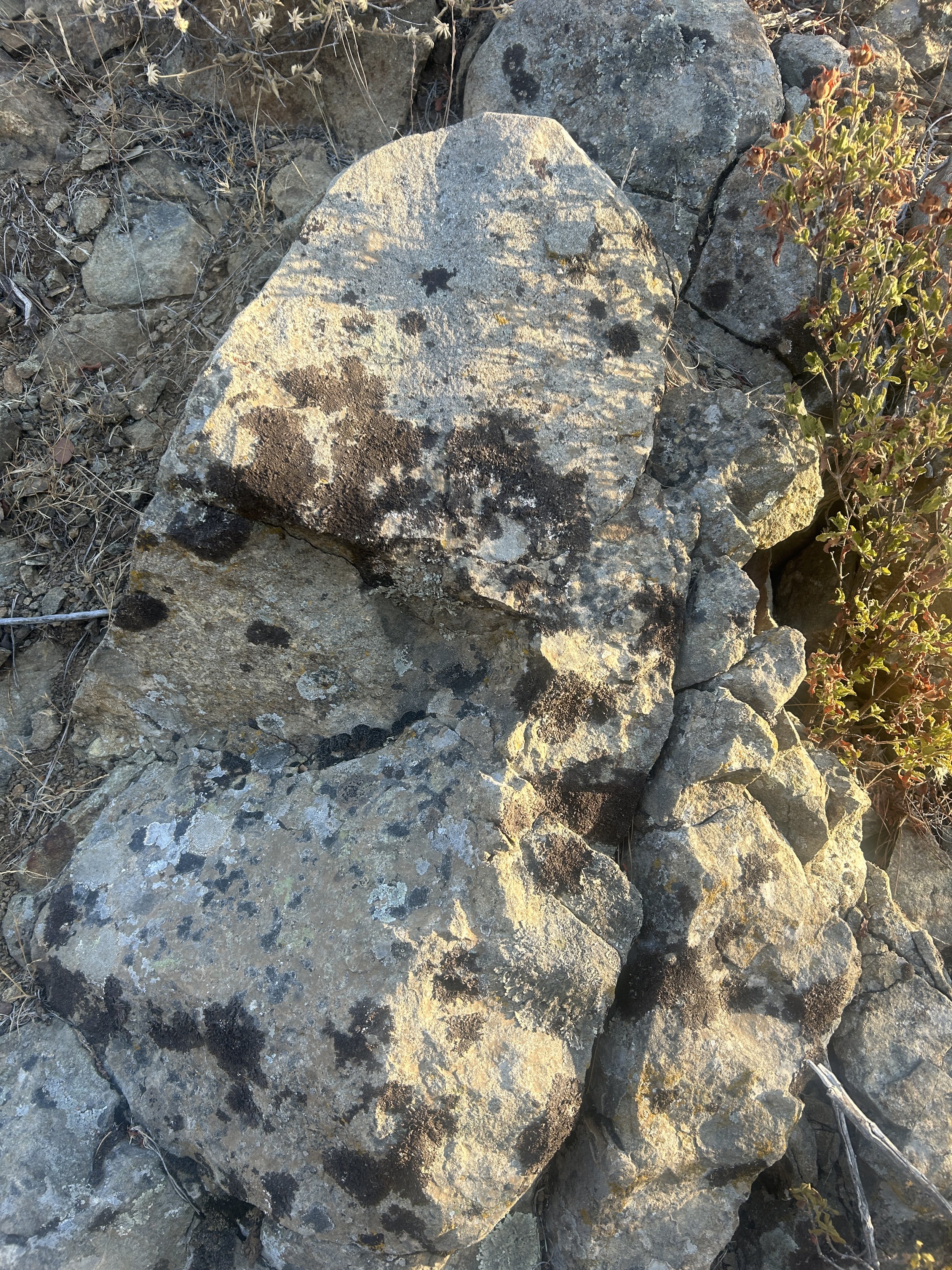 A large, irregularly shaped rock with patches of dark lichen and moss on its surface, surrounded by smaller rocks and dry soil, with some sparse green and reddish plants nearby.