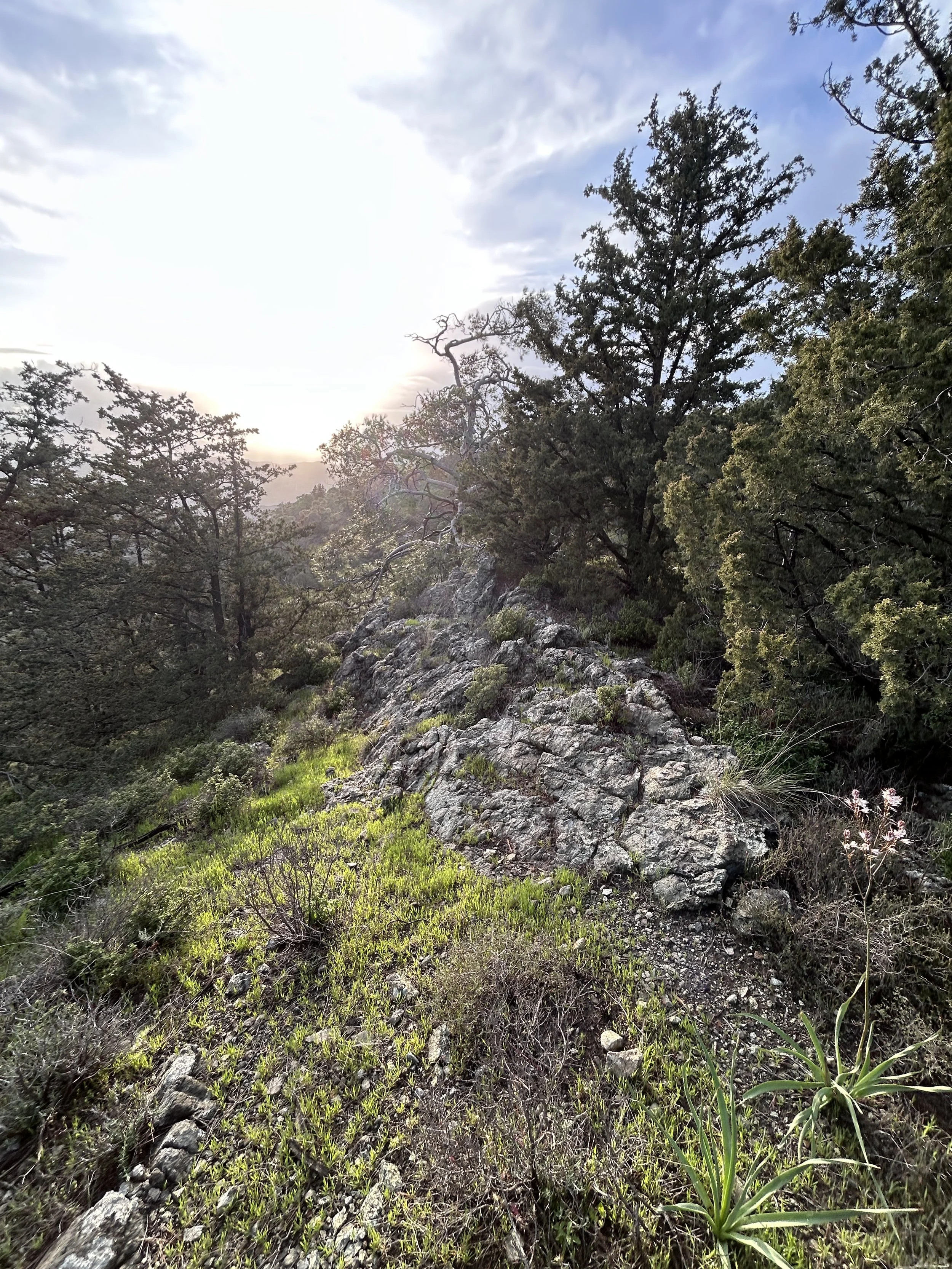 Hiking trail in a rocky, forested mountainous area with shrubs and trees, under a partly cloudy sky with the sun peeking through.